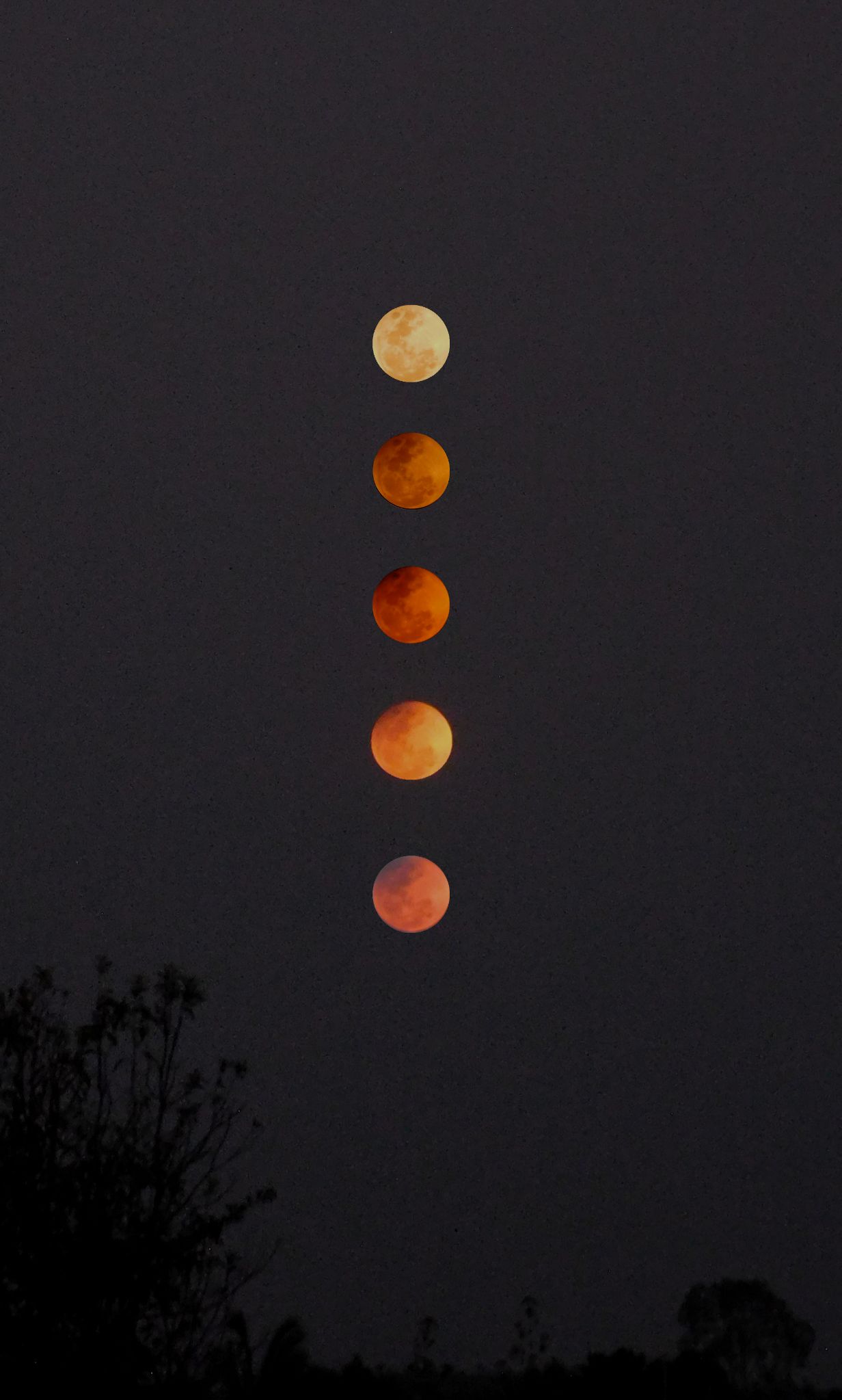 Community photo by Vijay