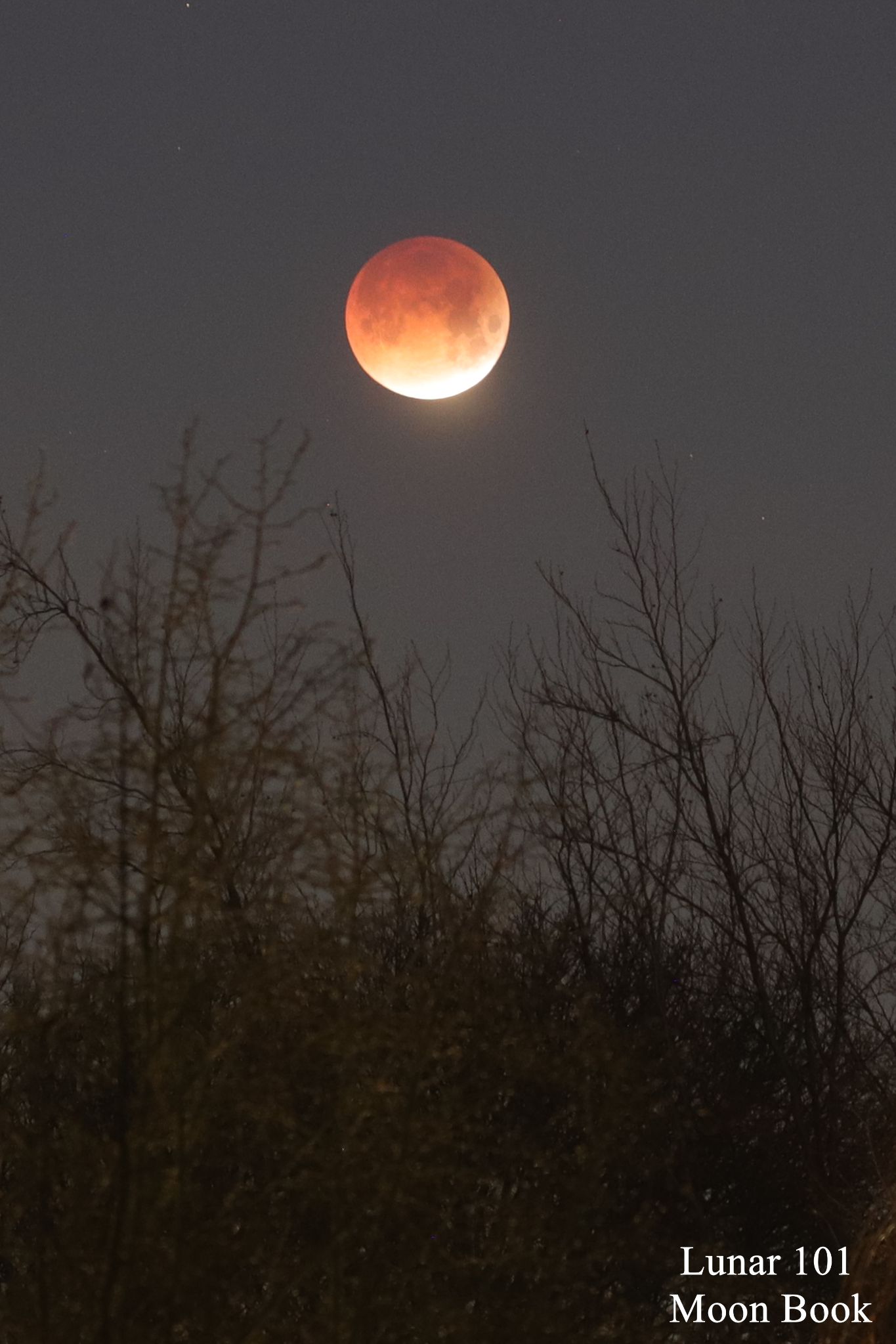 Community photo by Steven Sweet | Mississauga, Ontario, Canada