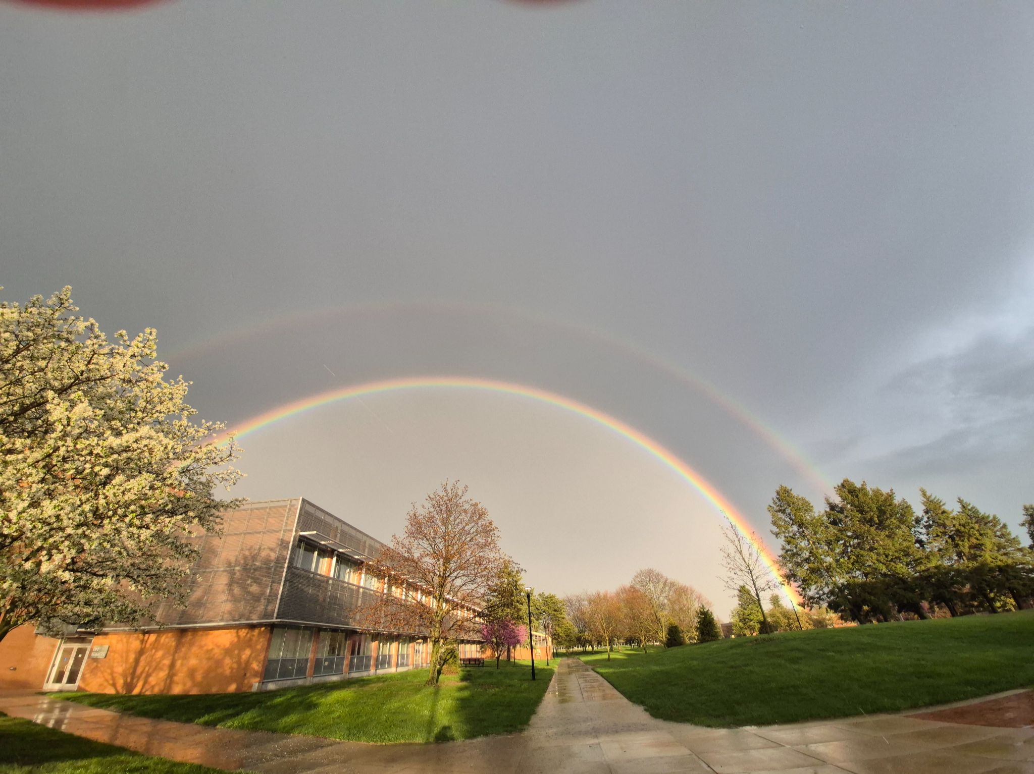 Community photo by Violette Daum | Monroe, Michigan