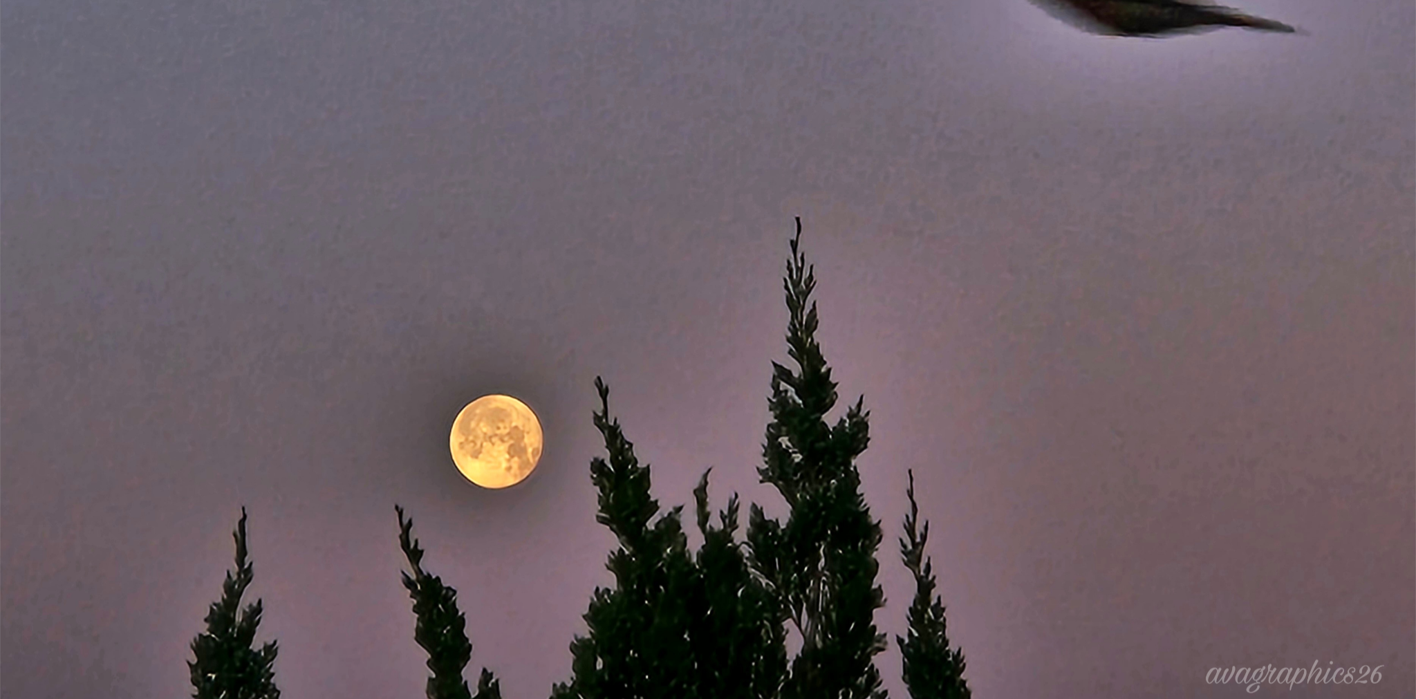 Community photo by Ava Gutierrez | Rio Rancho, New Mexico, USA