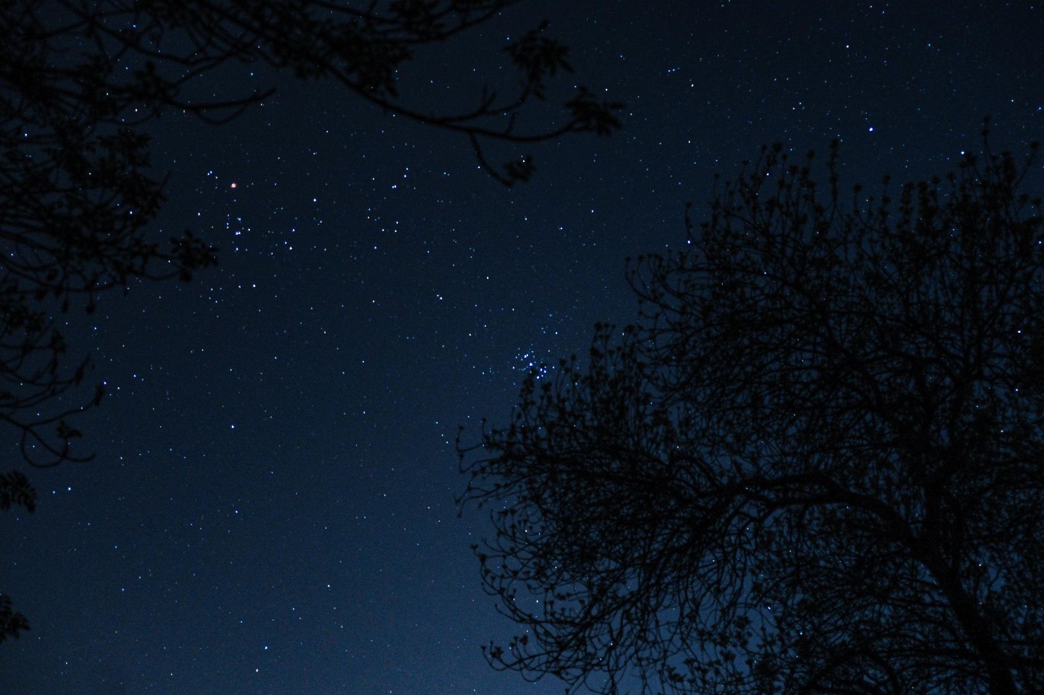 Community photo by Teresa Molinaro | Palermo, Sicily, Southern Italy
