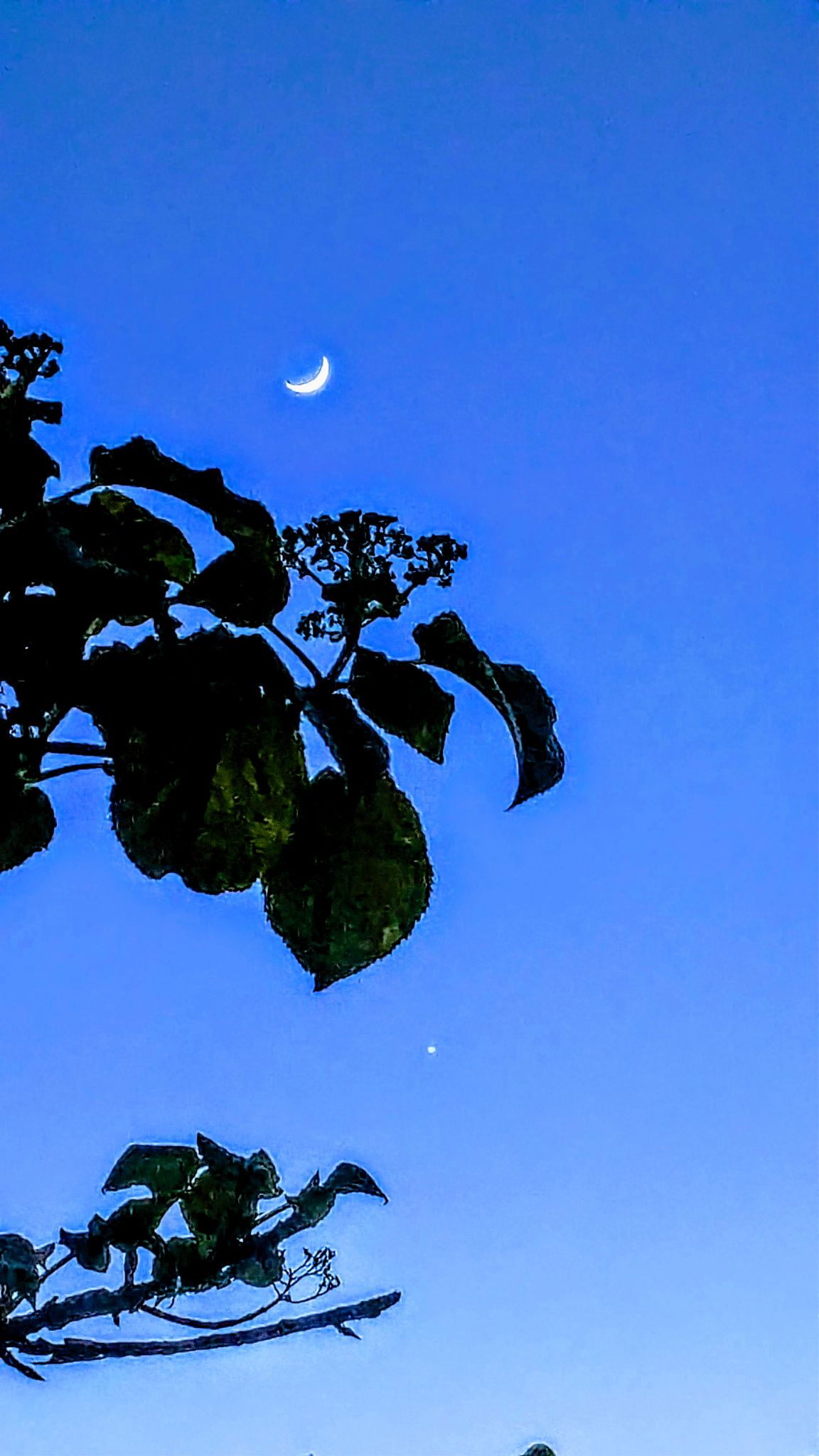 Community photo by Kevan Hubbard | Seaton Carew,Co Durham, England