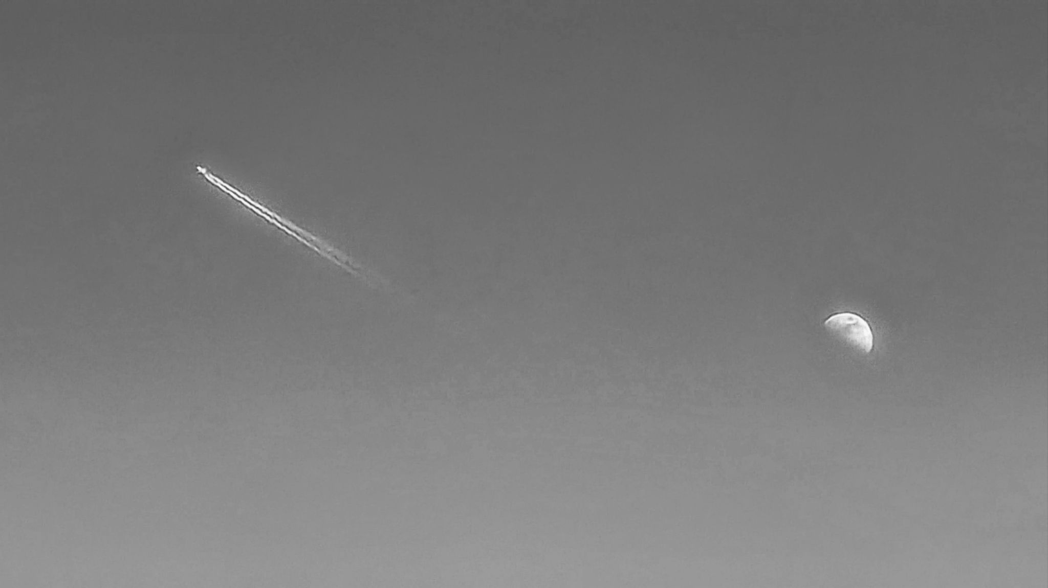 Community photo by Kevan Hubbard | Teesmouth Nature Reserve, Co Durham, England