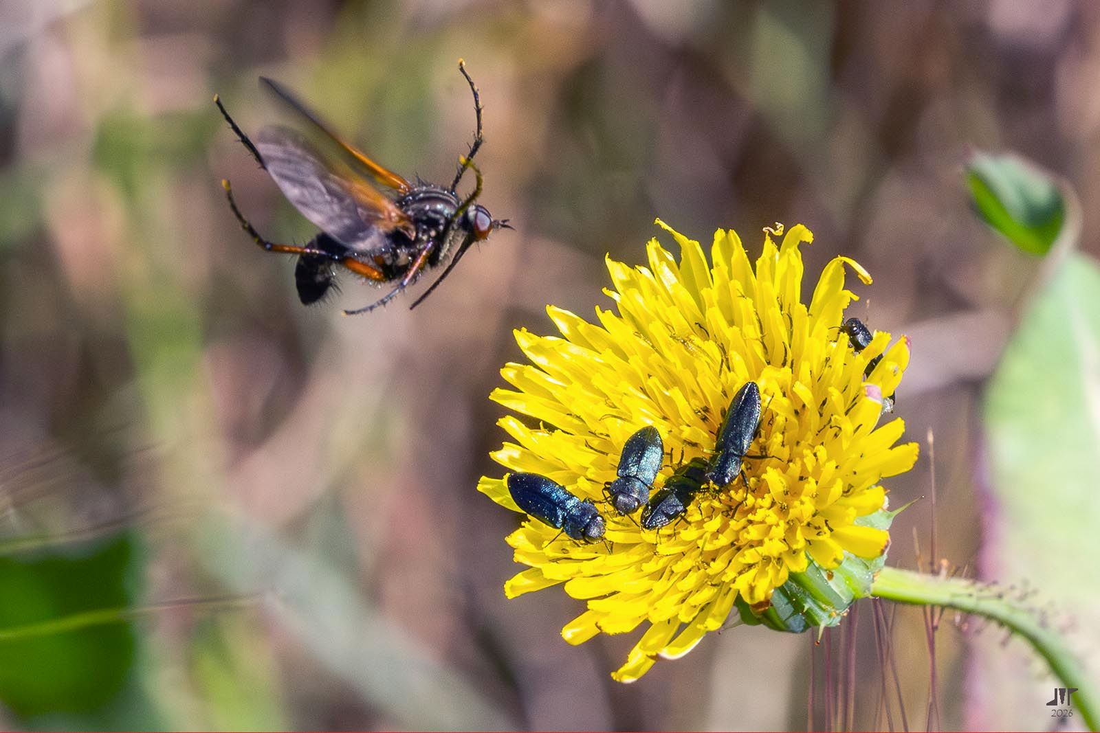 Community photo by juan manuel pérez rayego | Mérida, Spain