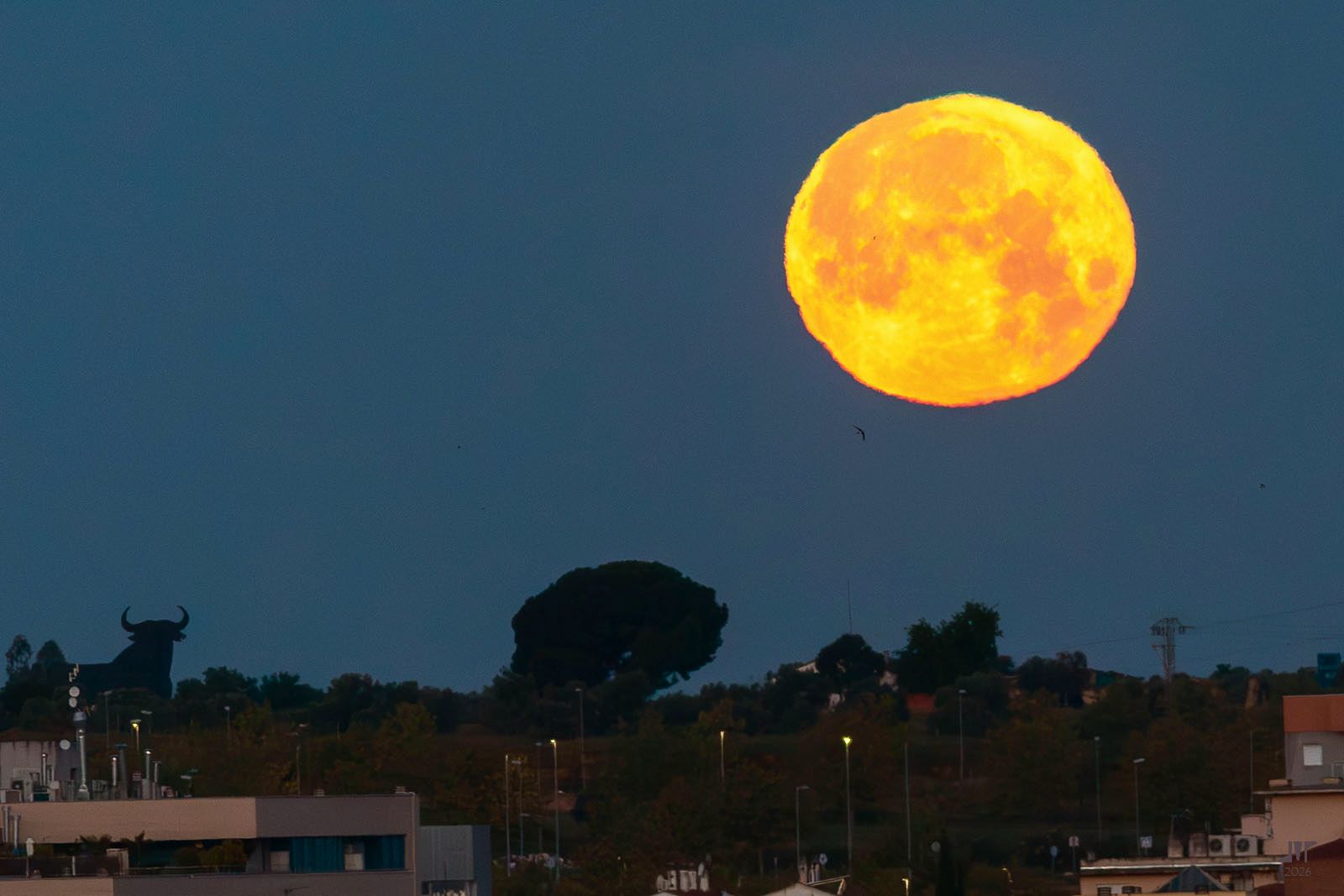 Community photo by juan manuel pérez rayego | Mérida, Spain