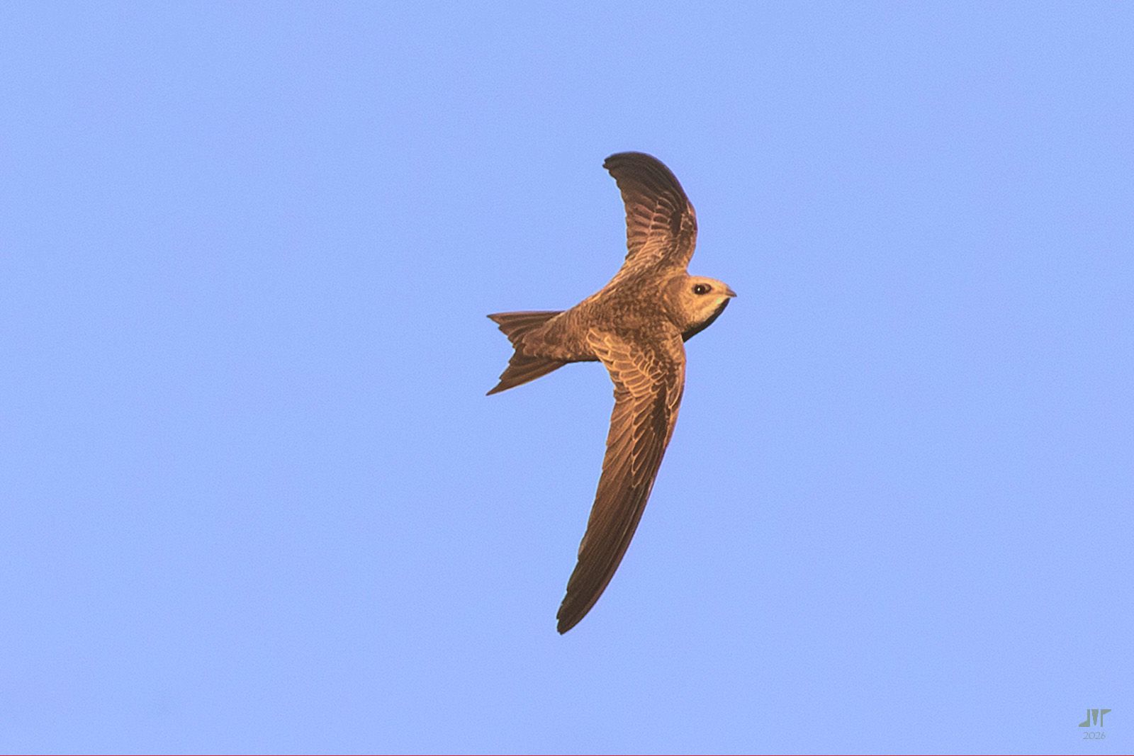 Community photo by juan manuel