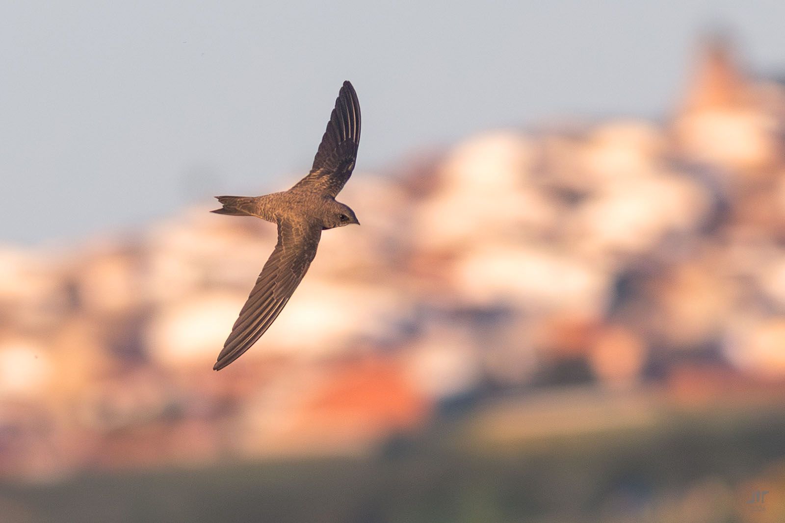 Community photo by juan manuel pérez rayego | Alange, Spain