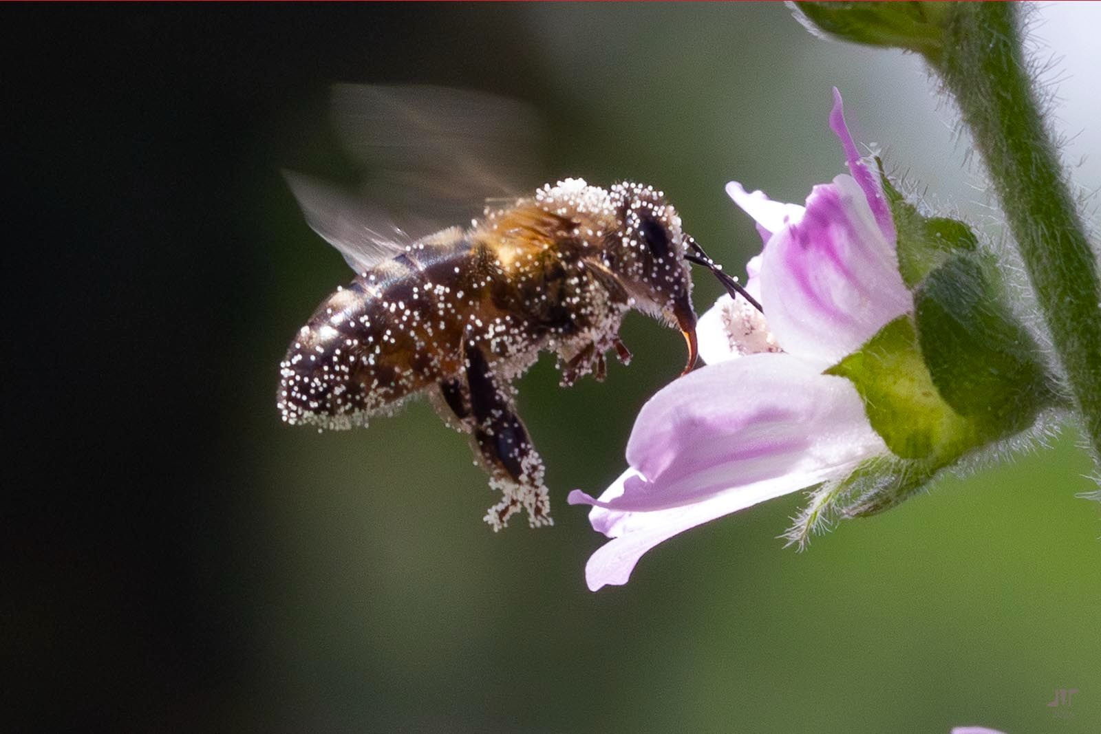 Community photo by juan manuel pérez rayego | Mérida, Spain