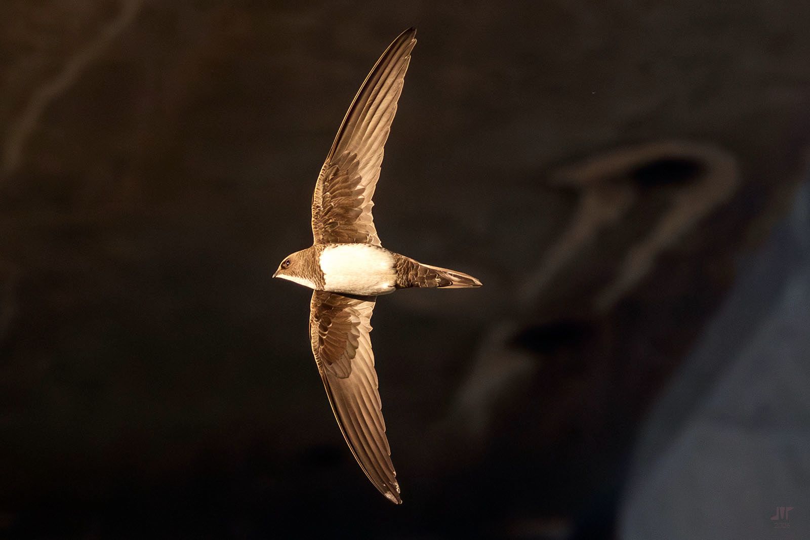 Community photo by juan manuel pérez rayego | Mérida, Spain