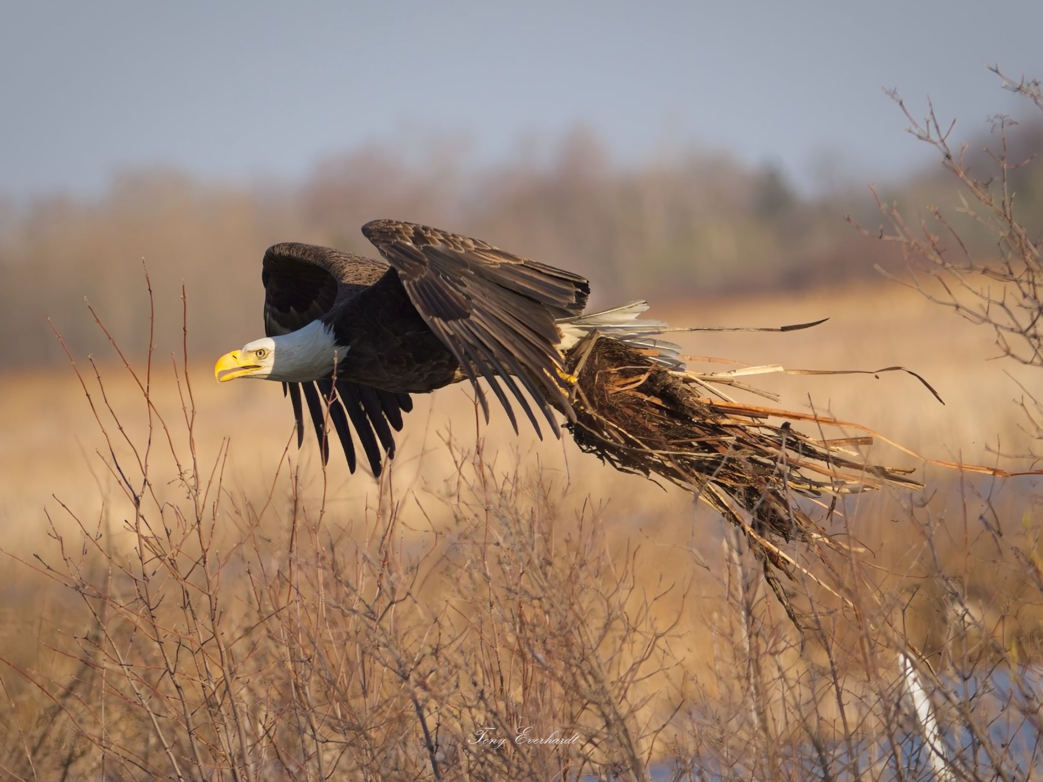 Community photo by Tony Everhardt | Ottawa National Wildlife Refuge. Ottawa County, Ohio
