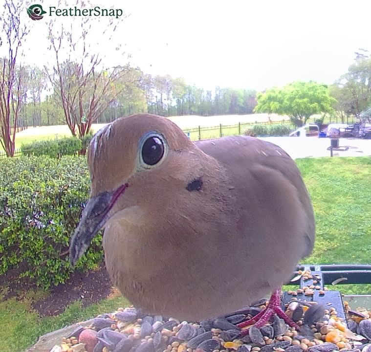 Community photo by Mark Wralstad | Virginia Beach, VA, USA