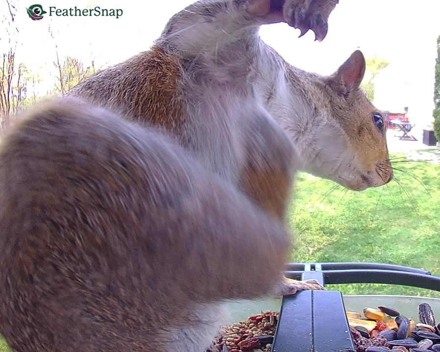 Community photo by Mark