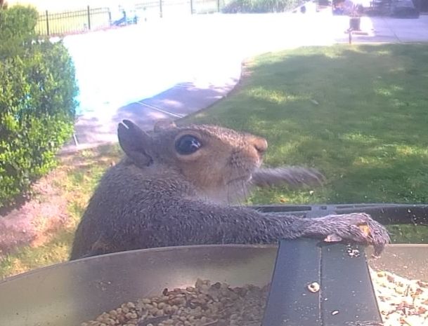 Community photo by Mark Wralstad | Virginia Beach, VA, USA
