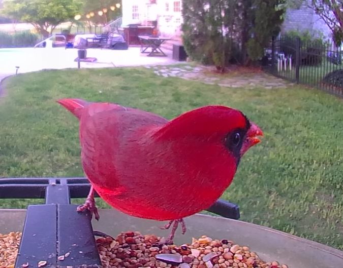 Community photo by Mark Wralstad | Virginia Beach, VA, USA