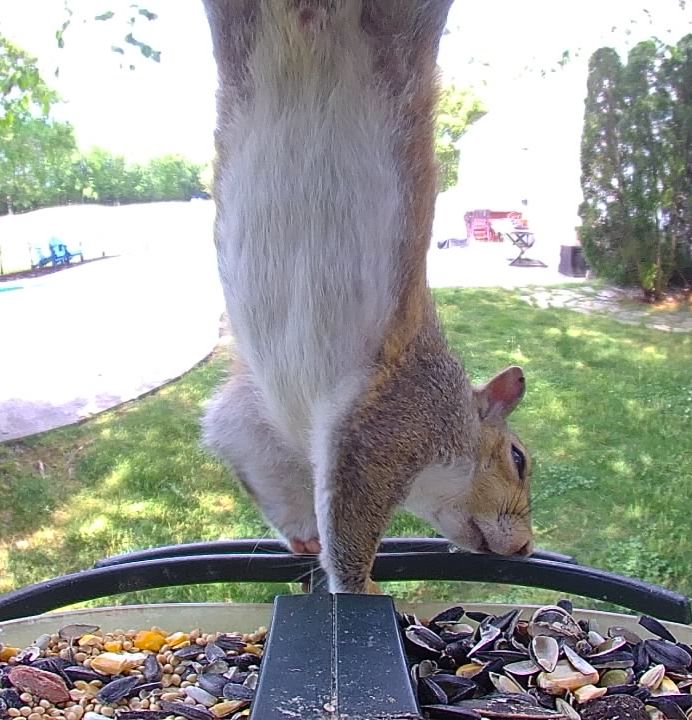 Community photo by Mark Wralstad | Virginia Beach, VA, USA