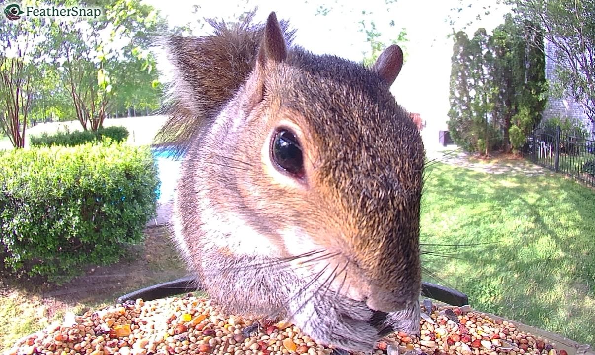 Community photo by Mark Wralstad | Virginia Beach, VA, USA
