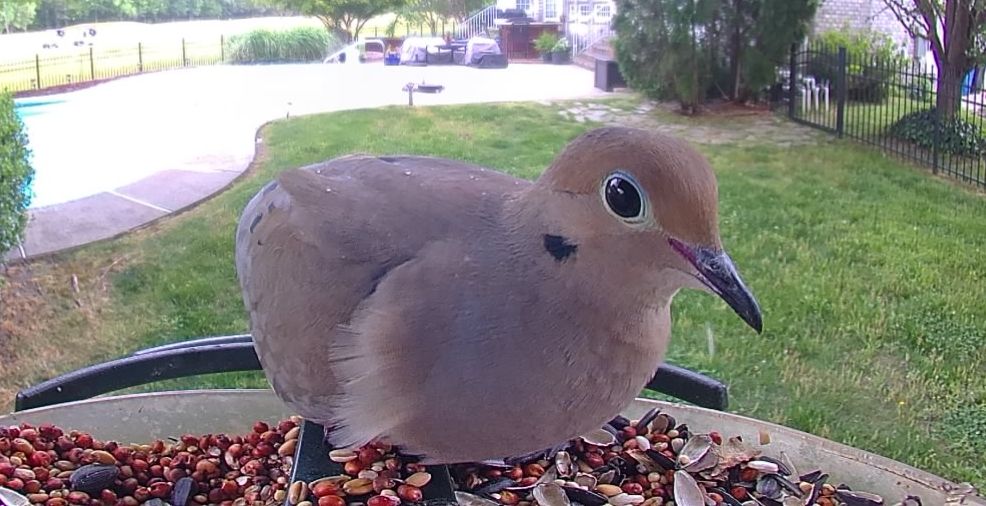 Community photo by Mark Wralstad | Virginia Beach, VA, USA