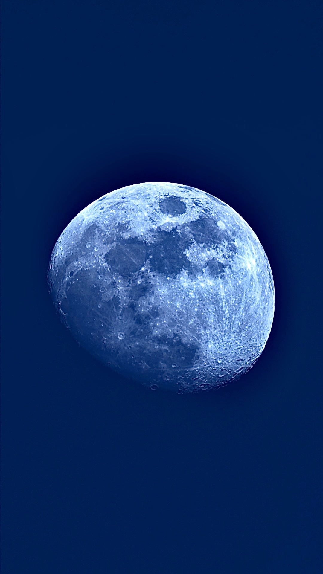 Community photo by Stephen Montag | Livingston, NJ