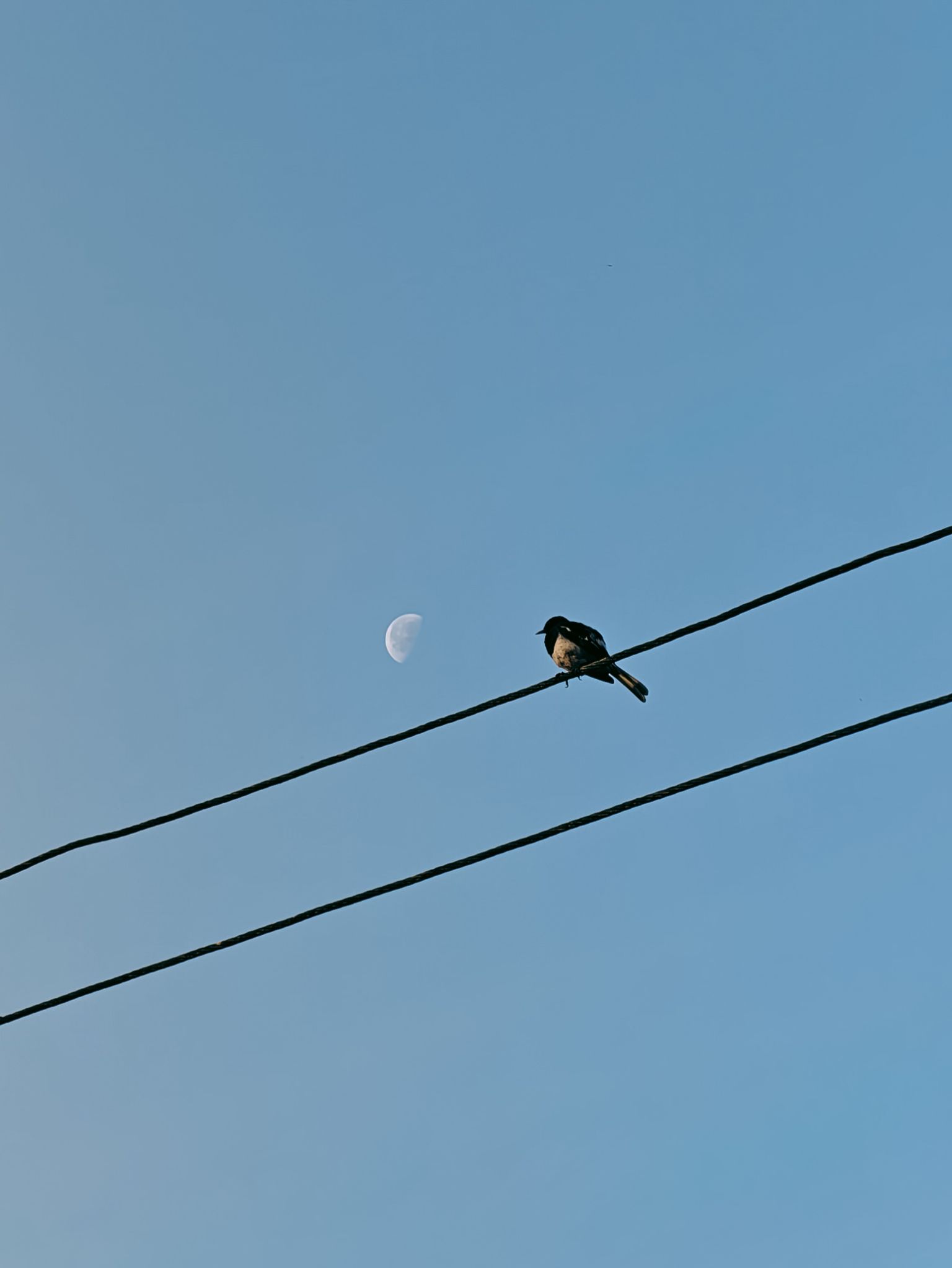 Community photo by Aayan Shaikh | Sindhudurg, Maharashtra, India