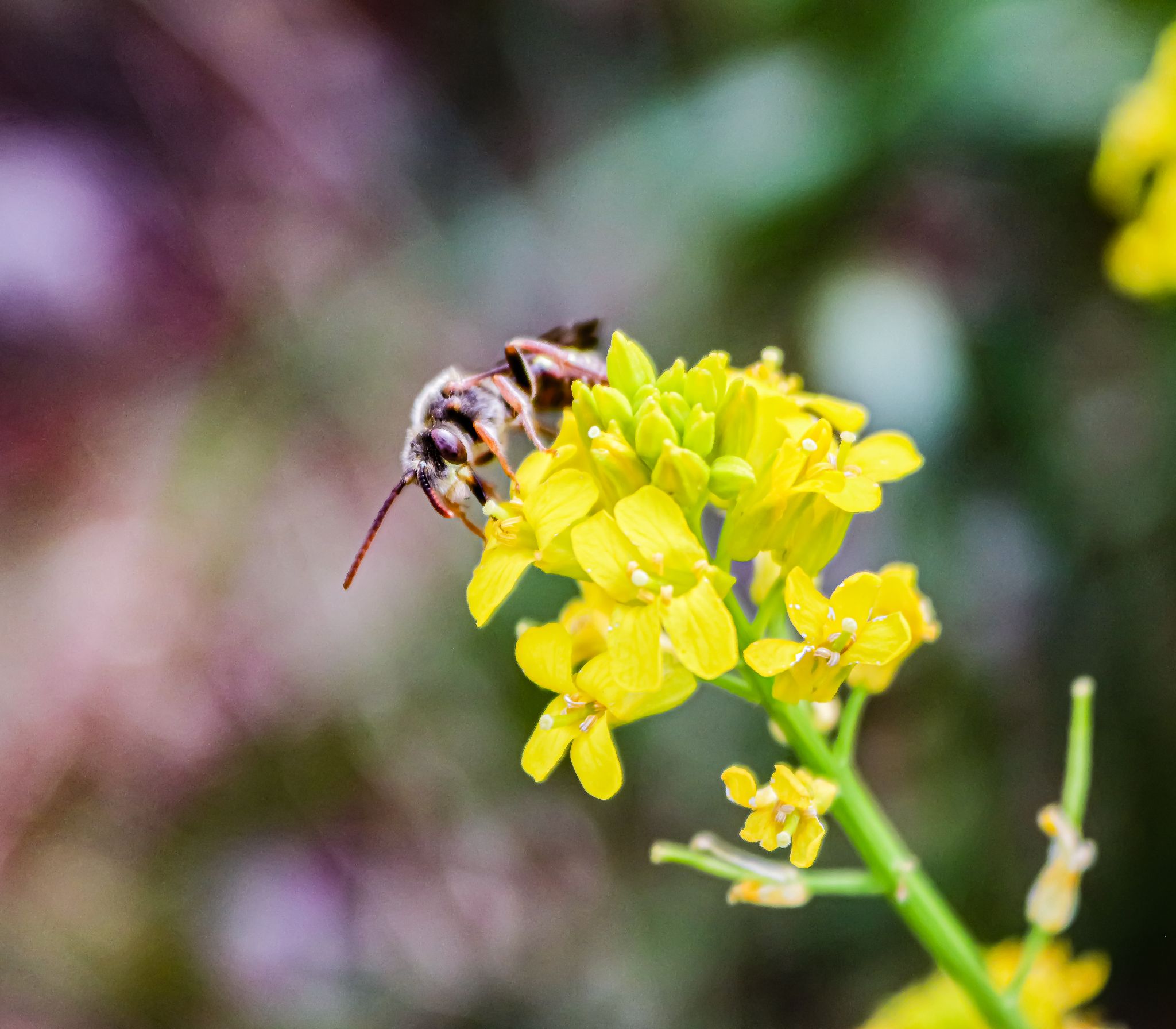 Community photo by Jean Ricigliano | Hillsville VA