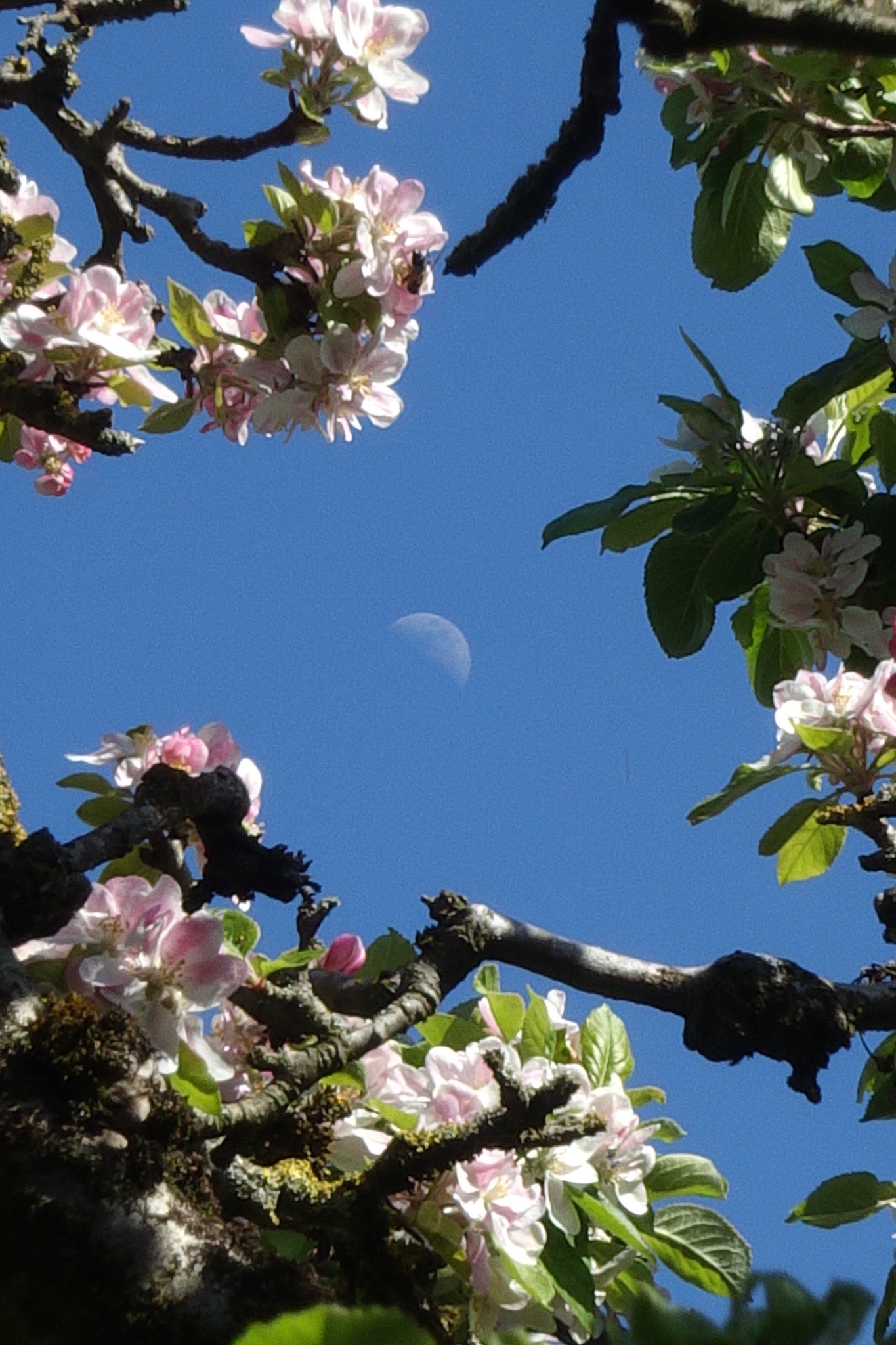 Community photo by Mark Blunsum | Liverpool, UK