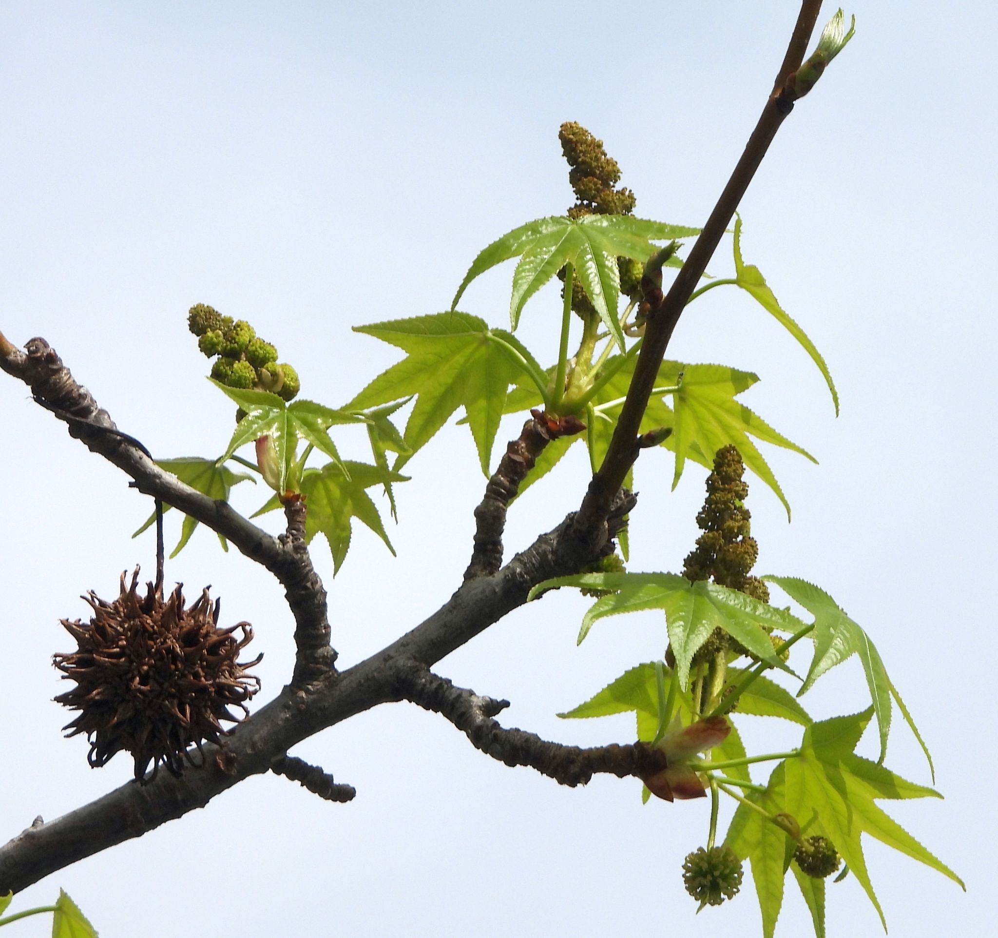 Community photo by Nina