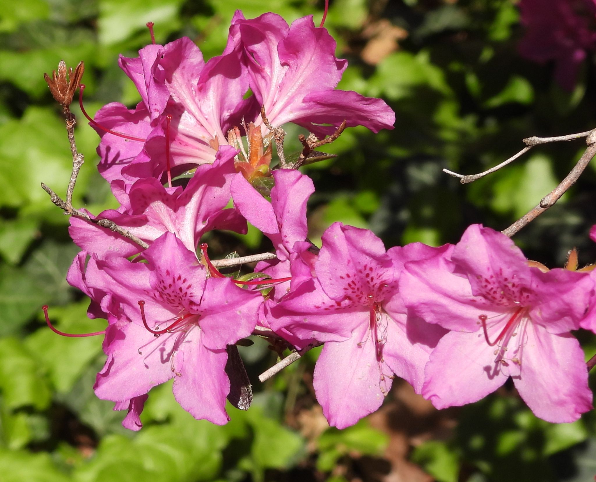 Community photo by Nina Gorenstein | West Lafayette, IN, USA
