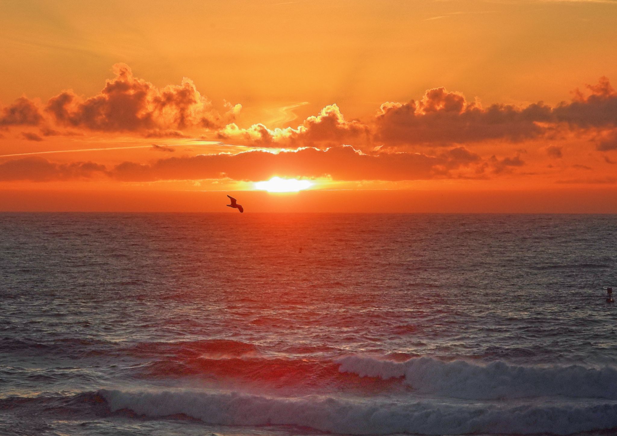 Community photo by Cecille Kennedy | Oregon Coast, Oregon