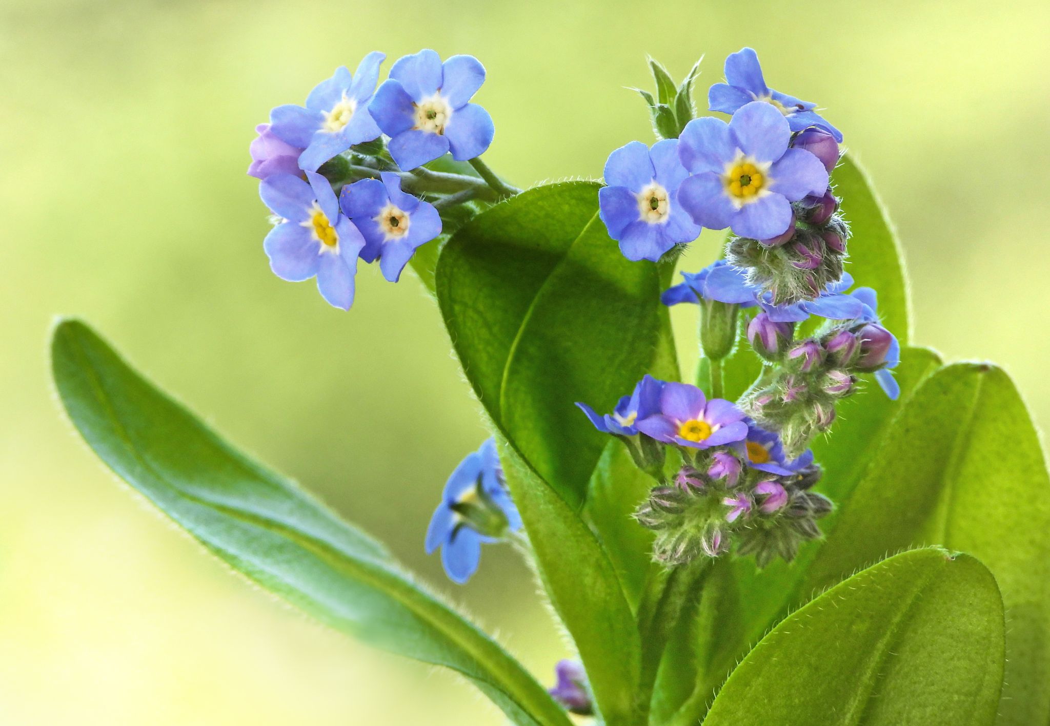 Community photo by Cecille Kennedy | Depoe Bay, Oregon