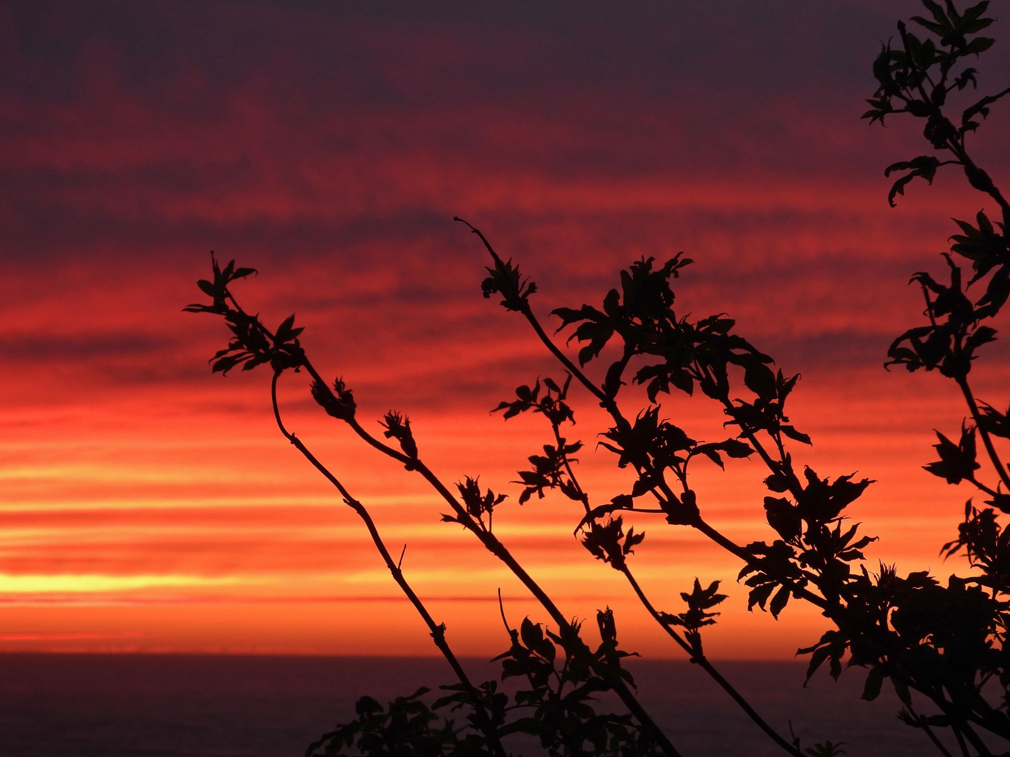 Community photo by Cecille Kennedy | Oregon Coast, Oregon