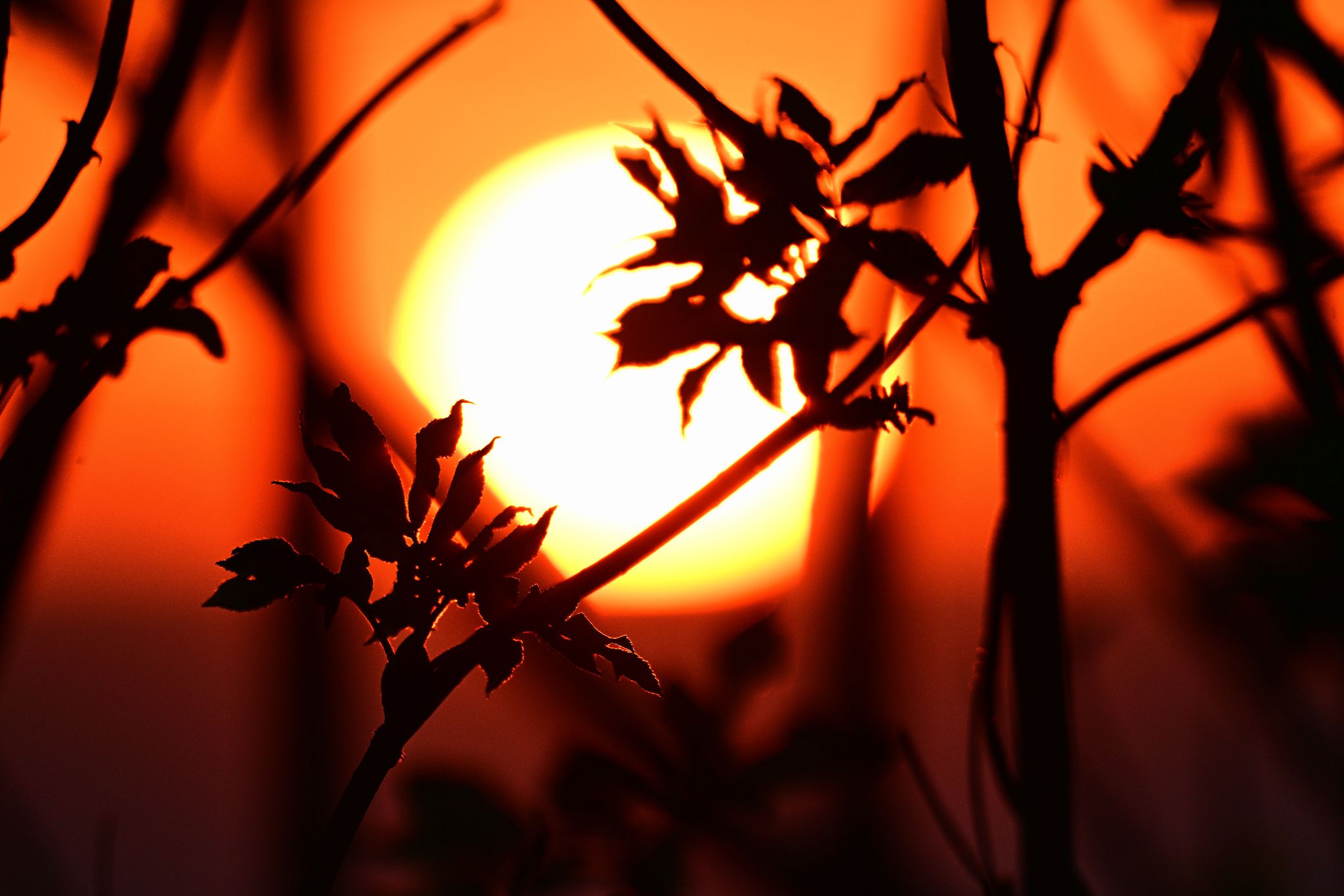 Community photo by Cecille Kennedy | Depoe Bay, Oregon