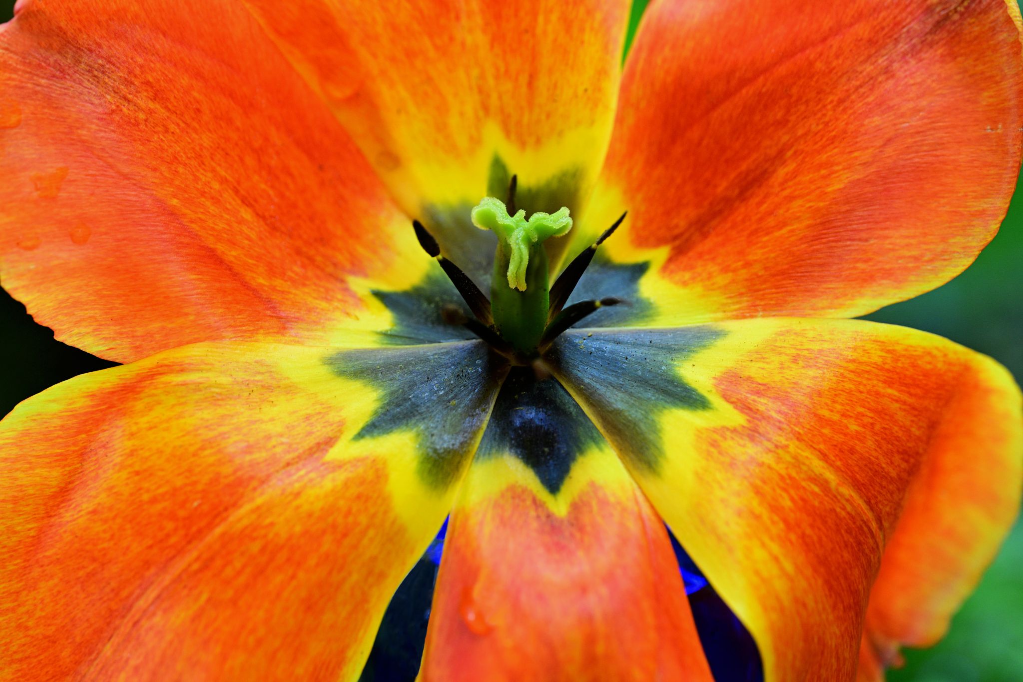 Community photo by Cecille Kennedy | Depoe Bay, Oregon