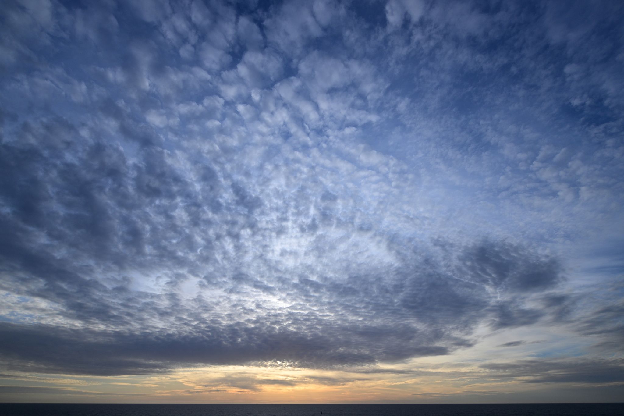 Community photo by Cecille Kennedy | Oregon Coast, Oregon