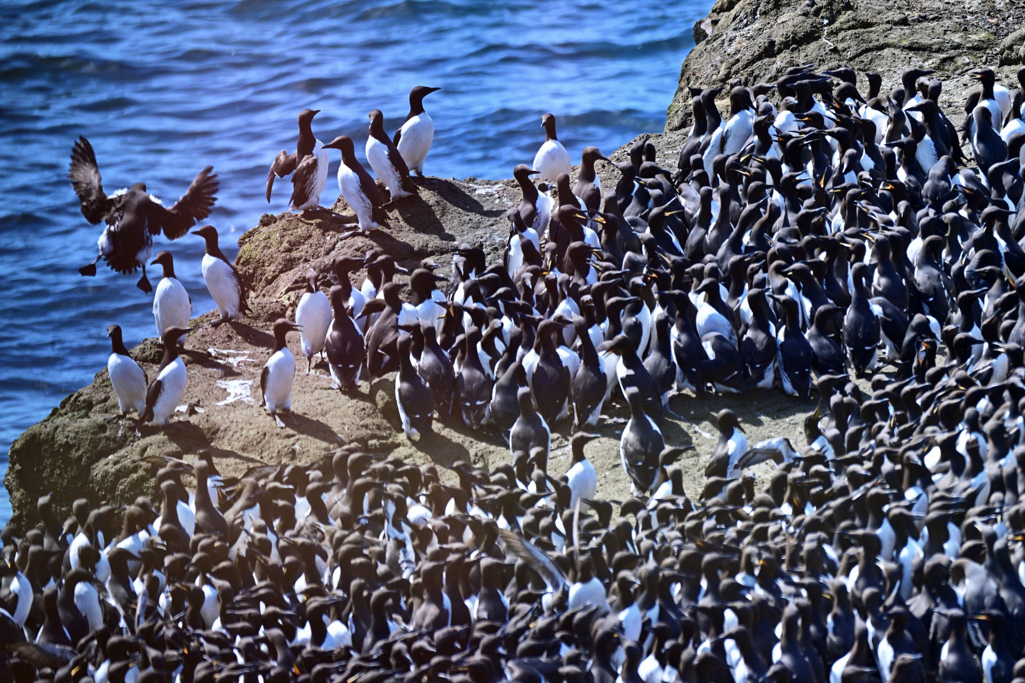 Community photo by Cecille Kennedy | Pirate Cove, Oregon