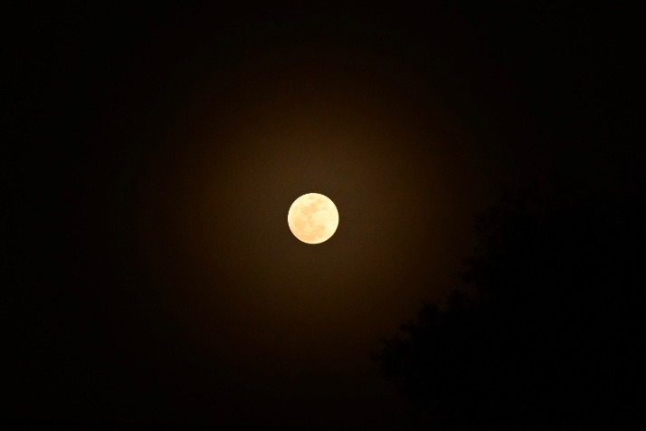 Community photo by Frank Lu | Arlington, Texas, USA