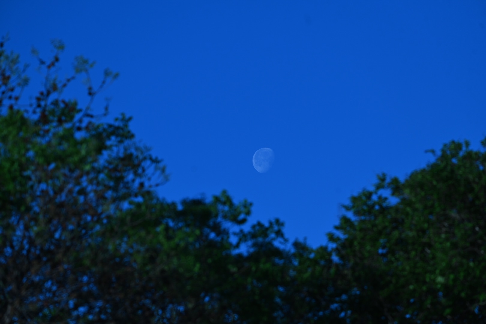 Community photo by Frank Lu | Arlington, Texas, USA