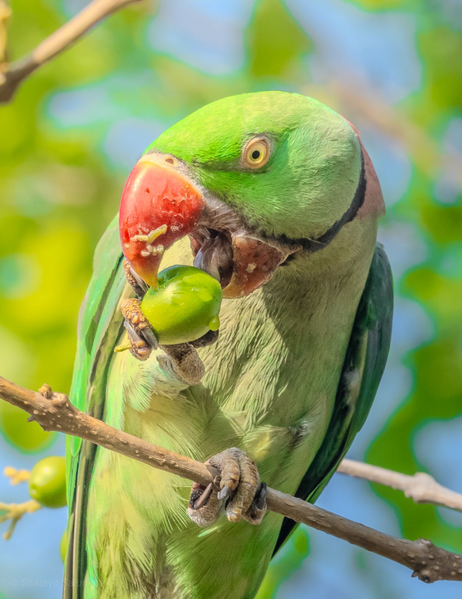 Community photo by Shaurya Salunkhe | Pune, Maharashtra, India