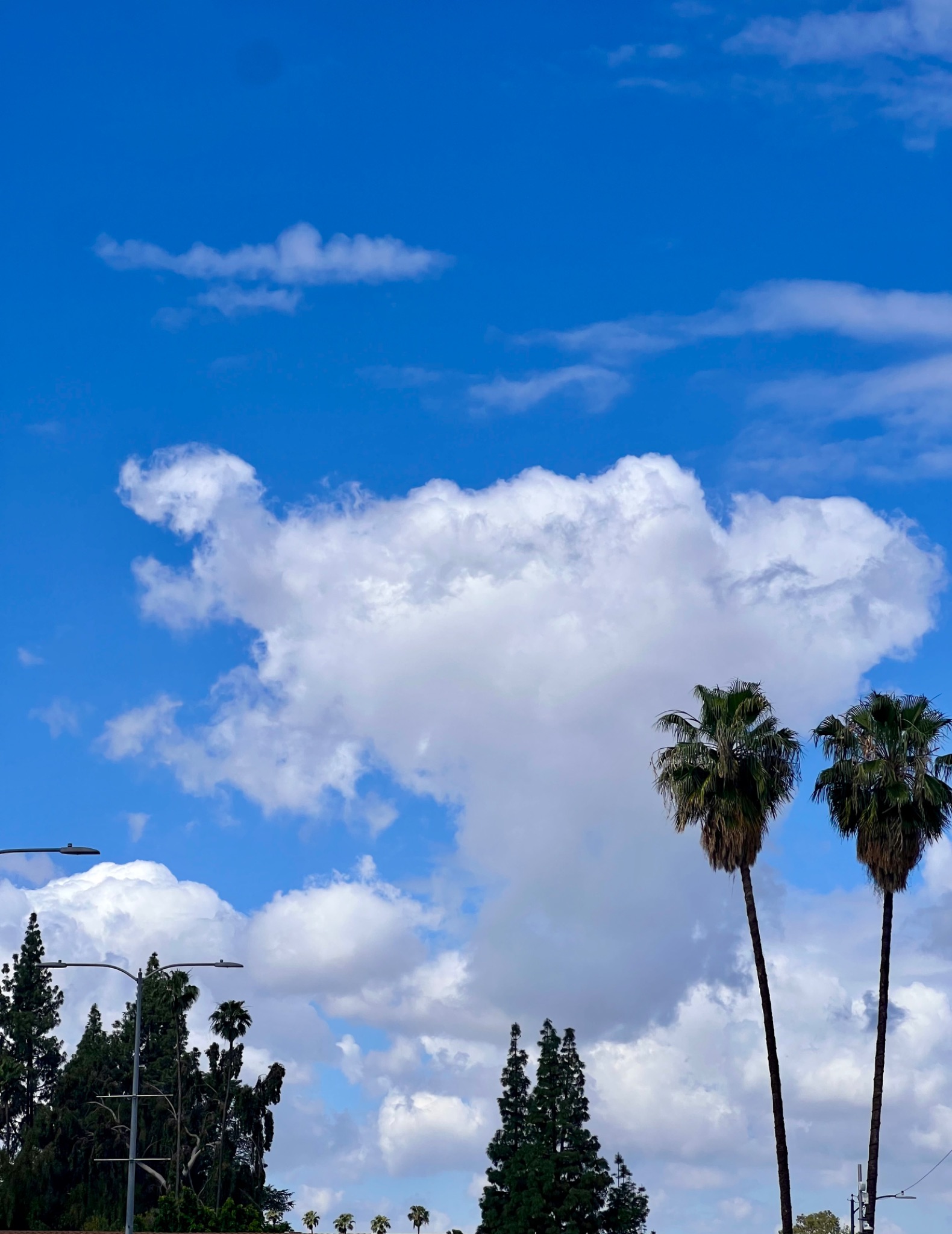 Community photo by Dolores Moreno | Redlands, CA