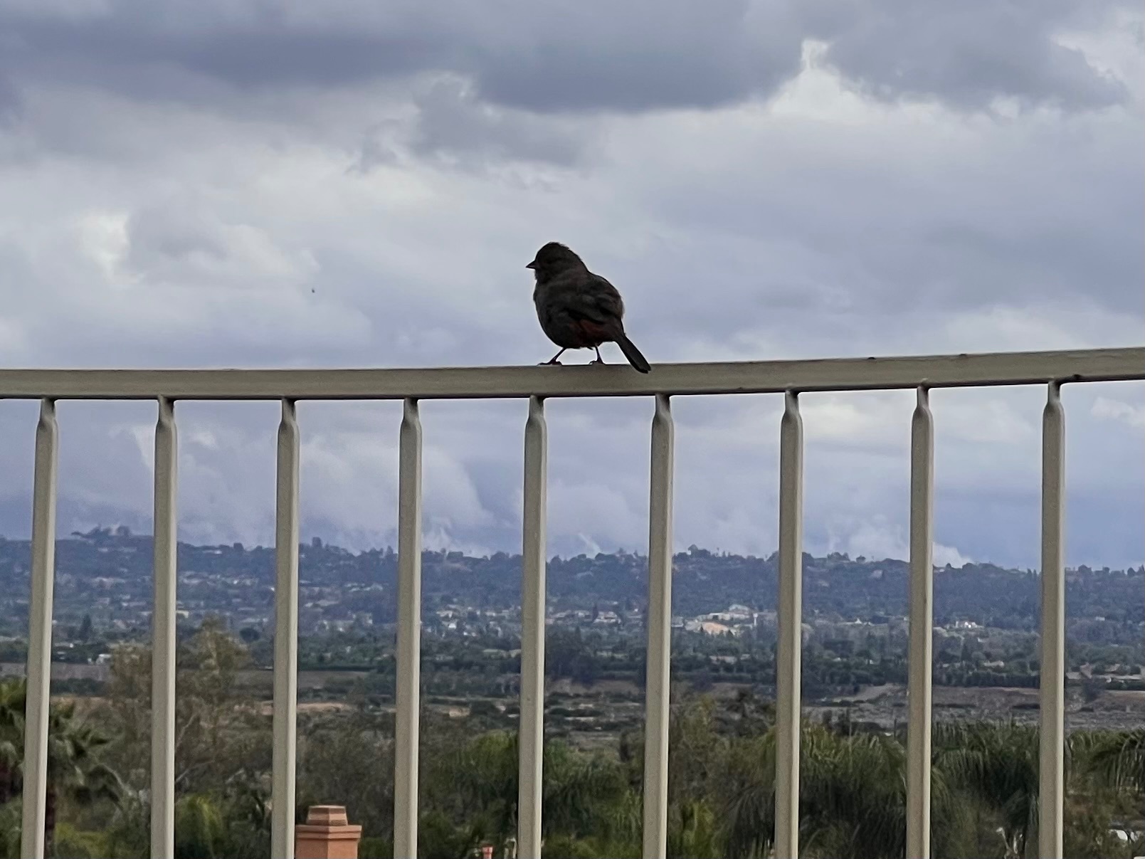 Community photo by Dolores Moreno | Highland, CA