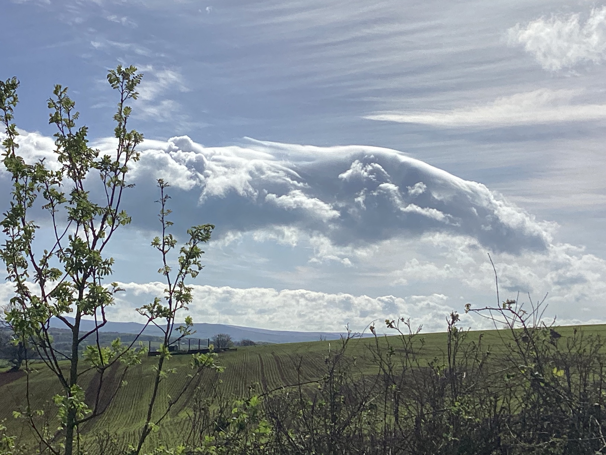 Community photo by Lyn Durden | South West UK.