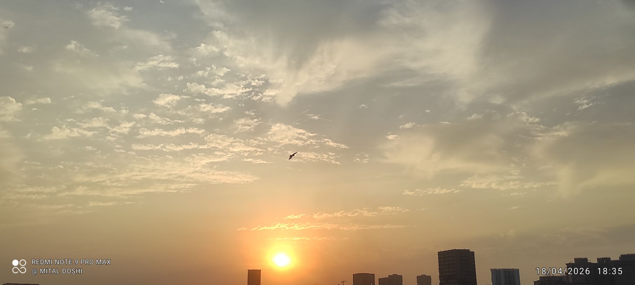 Community photo by Mital