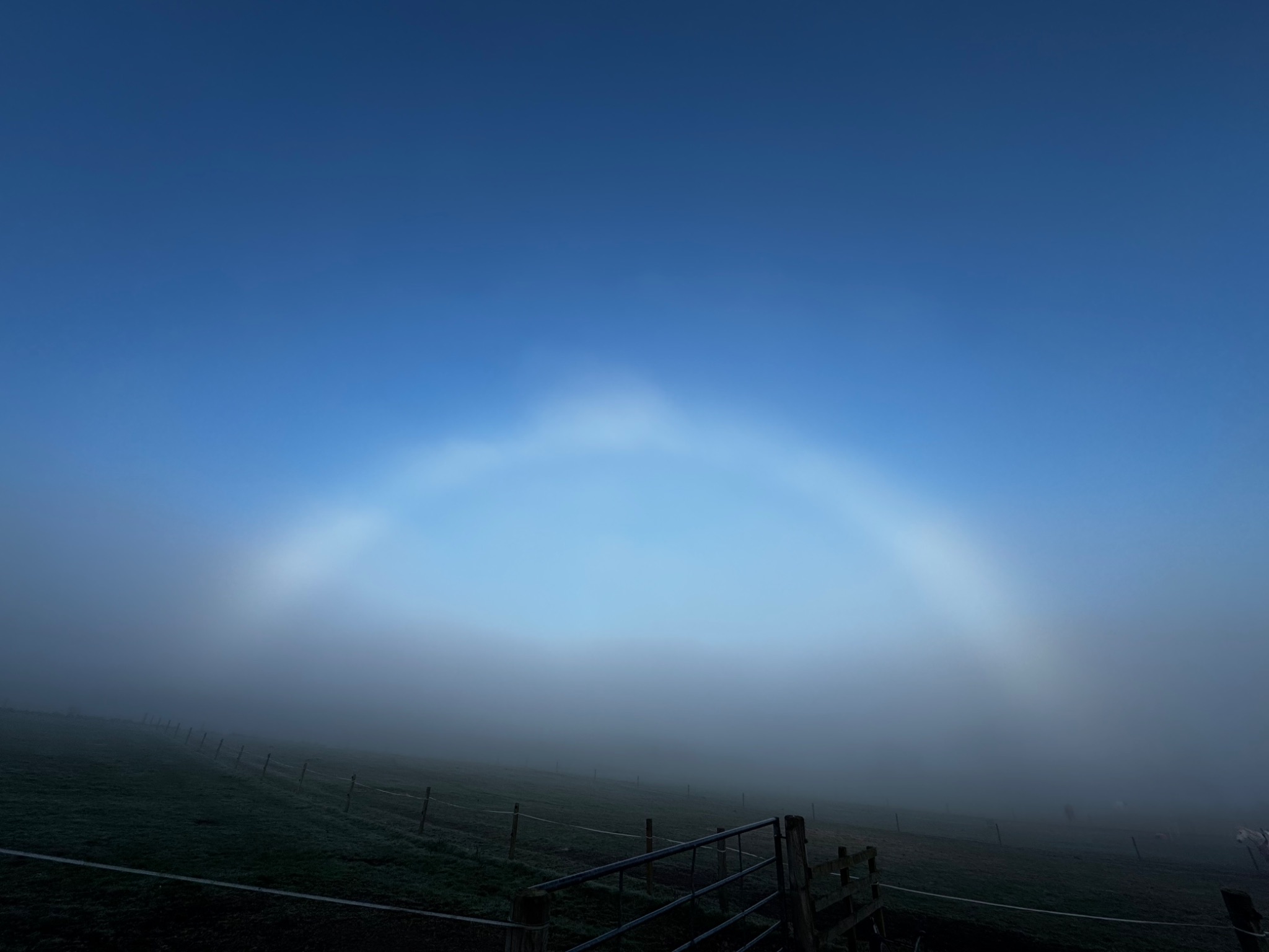 Community photo by Laura McGlashan | Perth, Scotland