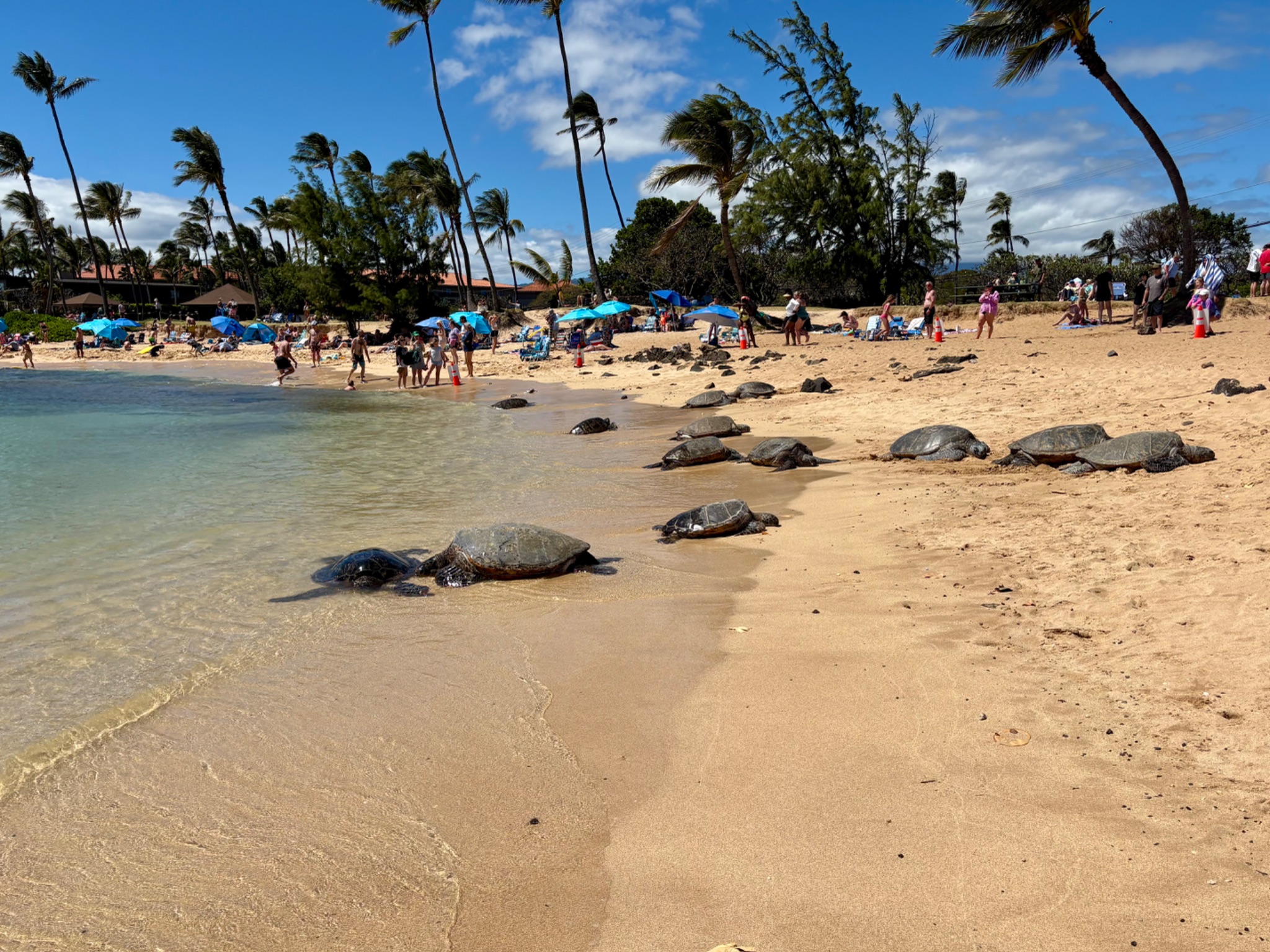 Community photo by Janet Devadoss-Yoder | Poipu Beach, Kauai, Hawaii, USA