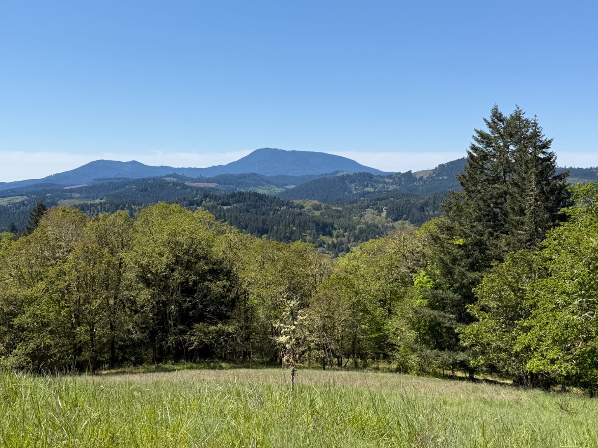 Community photo by Victoria Bryhan | Fitton Green, Corvallis