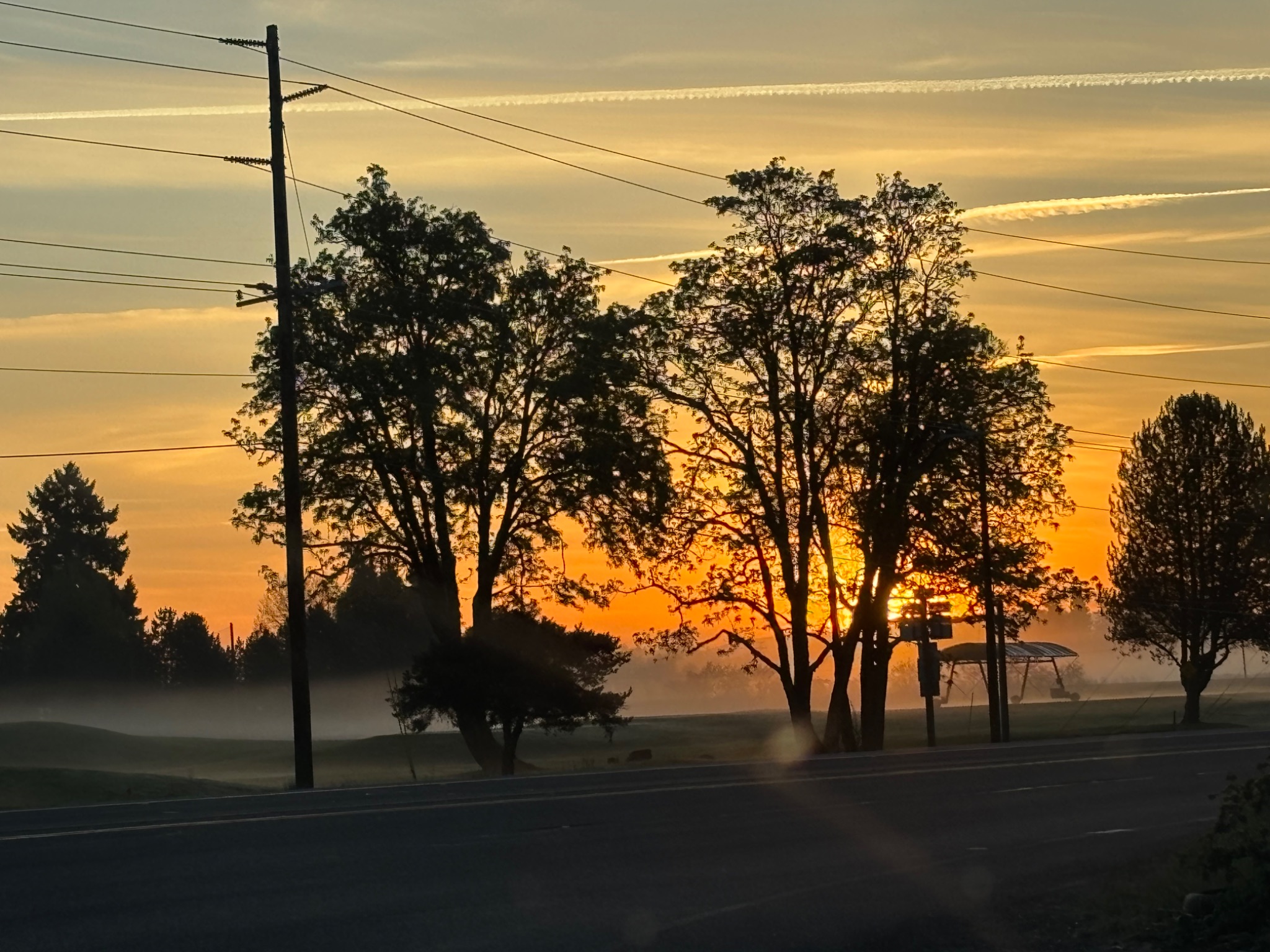 Community photo by Kalyanii Kennedy | Corvallis, Oregon, USA