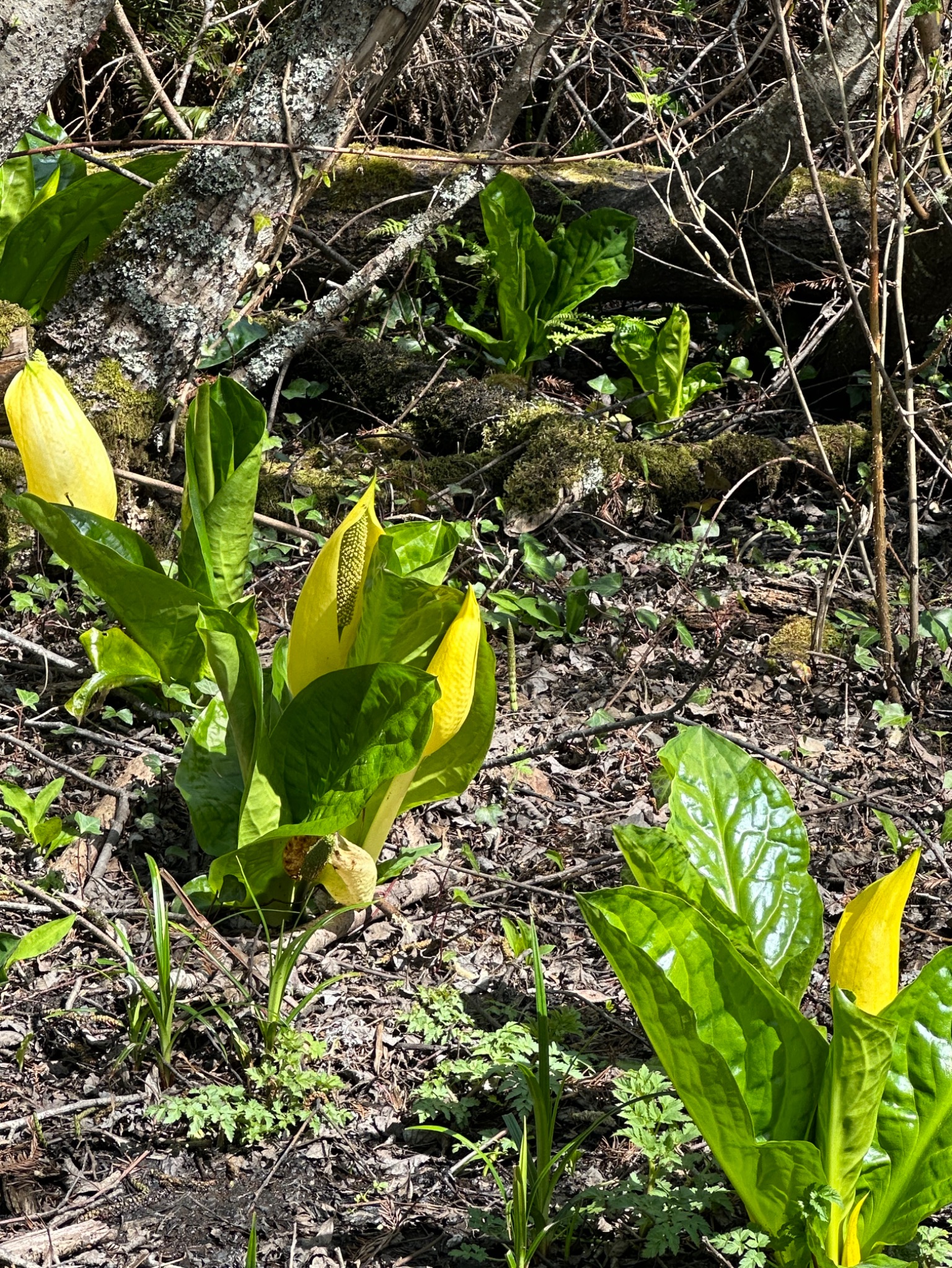 Community photo by Victoria Bryhan | Yaquina River, Newport, Oregon