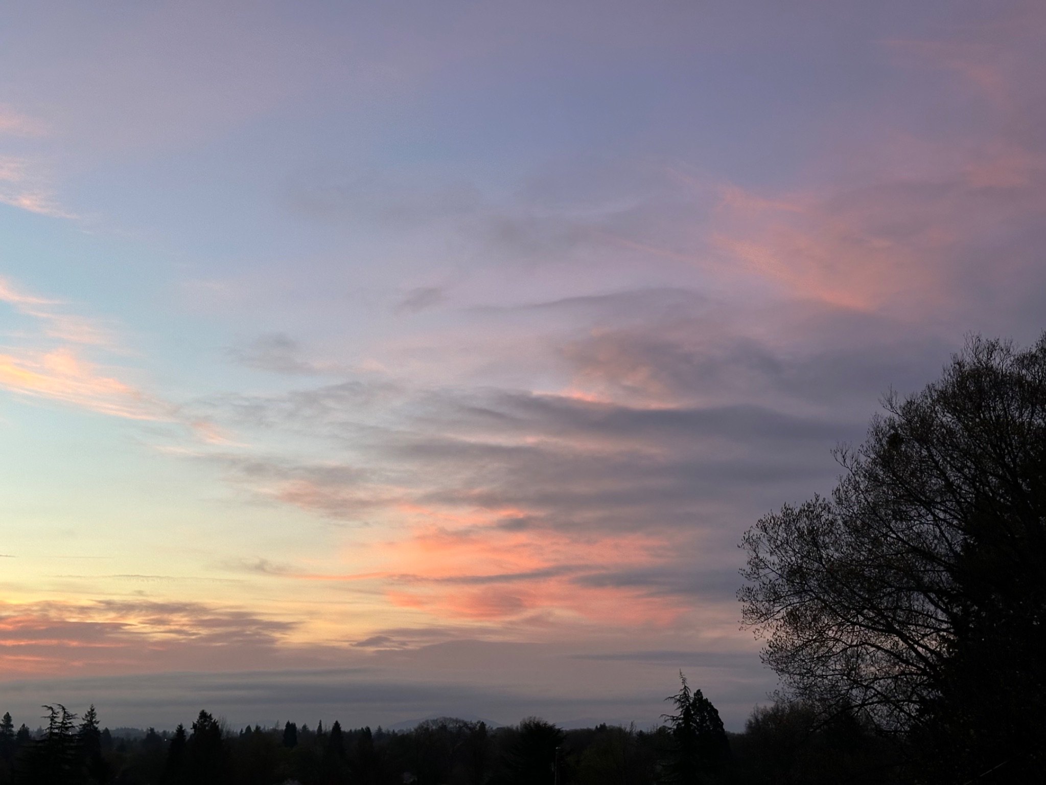 Community photo by Victoria Bryhan | Corvallis, Oregon