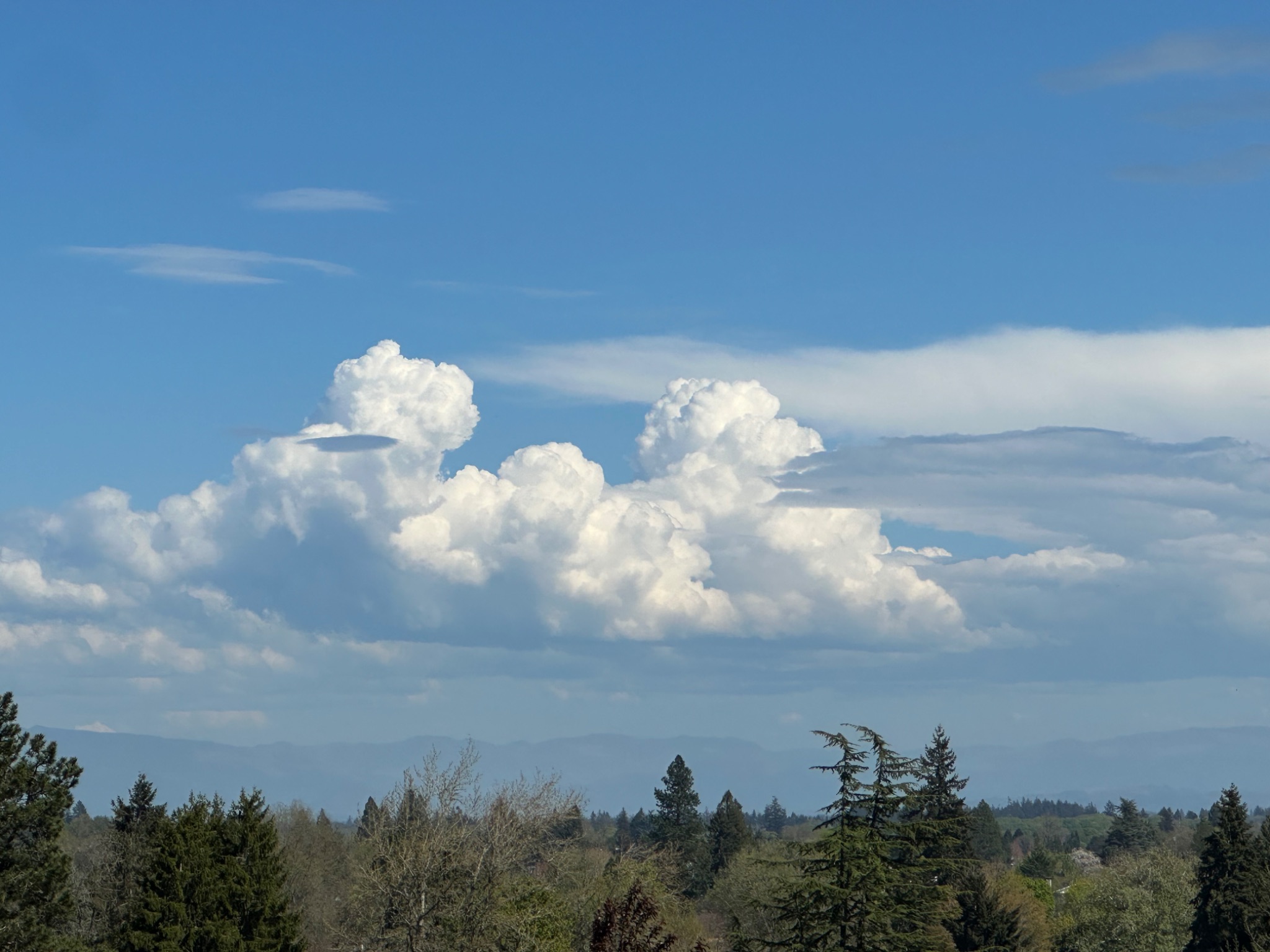 Community photo by Victoria Bryhan | Corvallis, Oregon