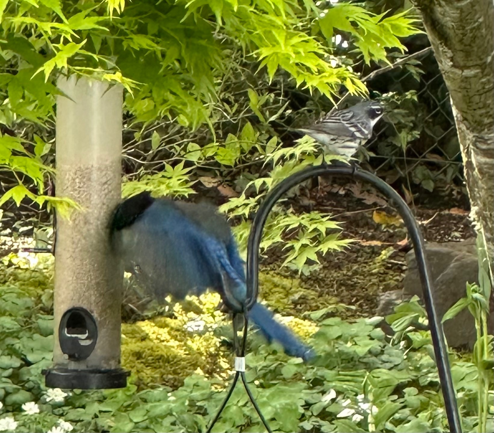 Community photo by Victoria Bryhan | Corvallis,  Oregon