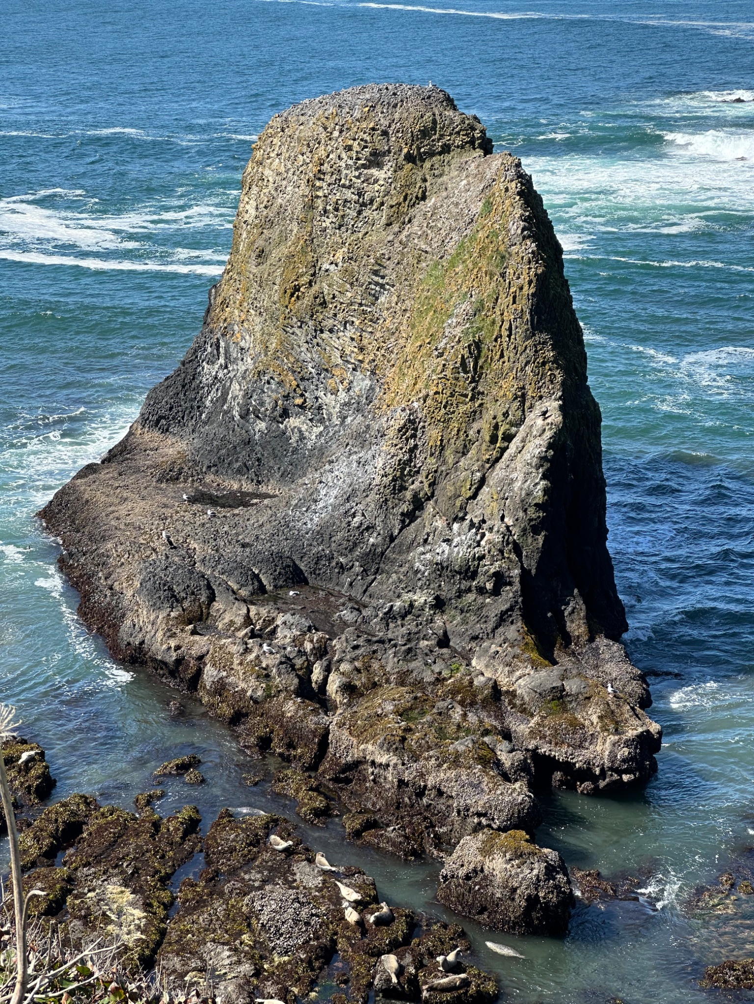 Community photo by Victoria Bryhan | Yaquina Head, Newport, Oregon